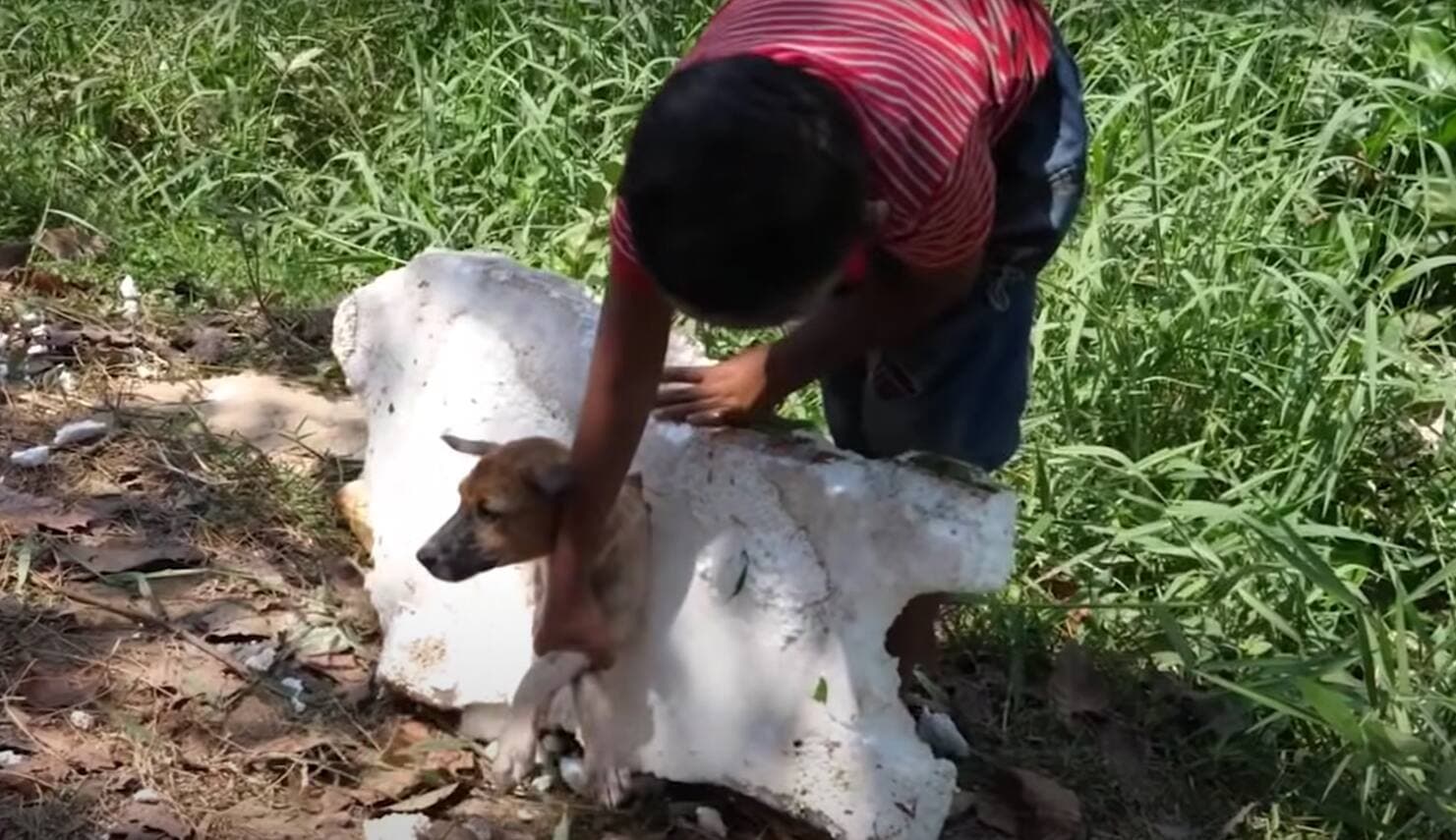 Capture d'écran YouTube (PaymoneyWubby)