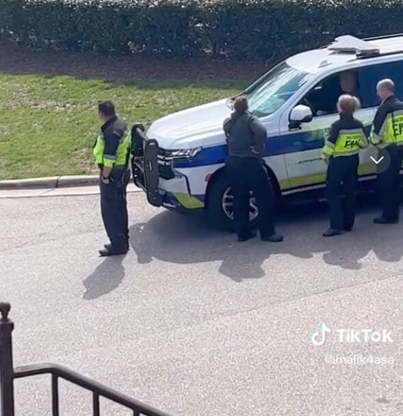 Capture d'écran TikTok (mlktrk679)