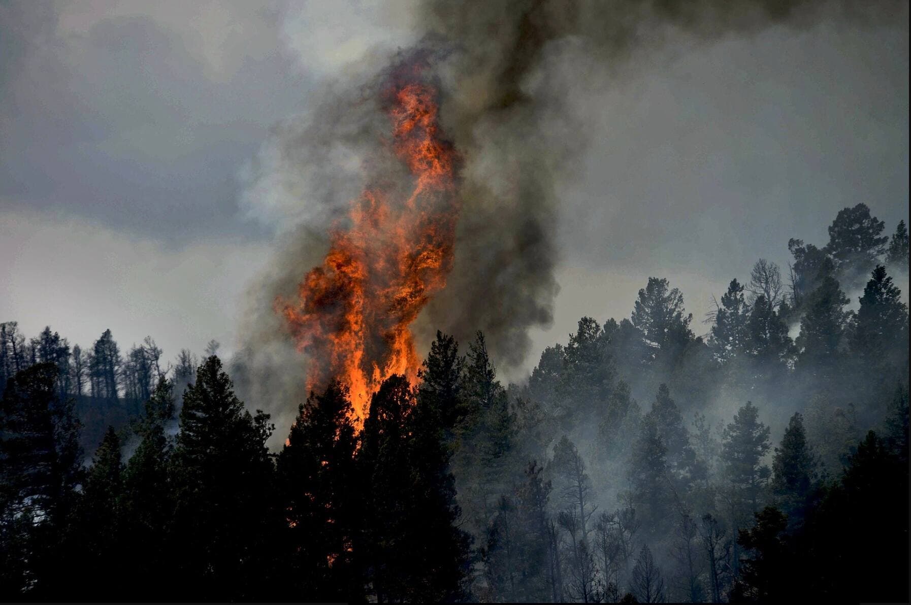 Le Service des mesures d’urgence de la Ville de Lebel-sur-Quévillon ordonne l’évacuation des citoyens, le 2 juin 2023.