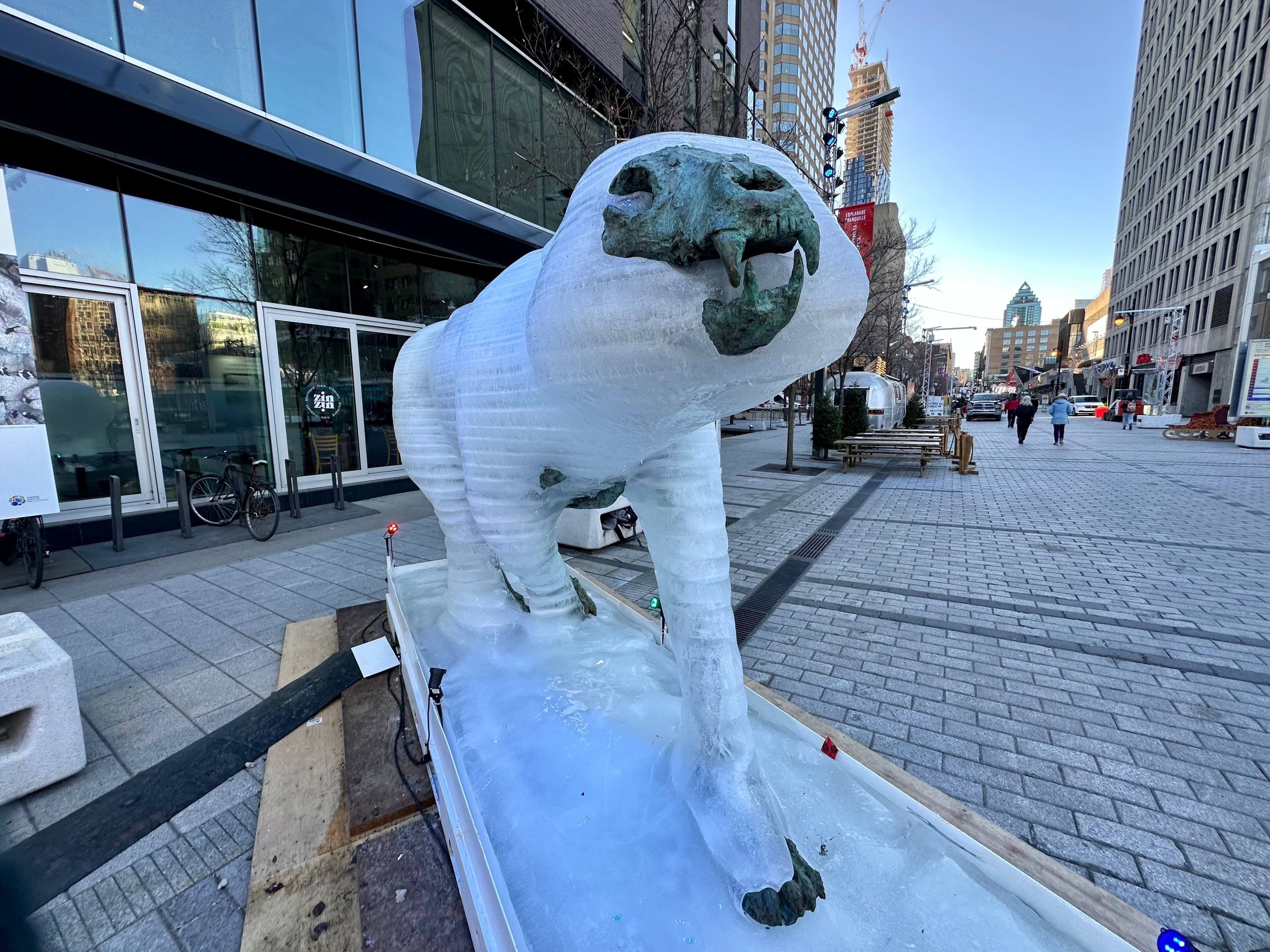 L'ours polaire montrait déjà son squelette de bronze à cause de la pluie et les températures anormalement douces.