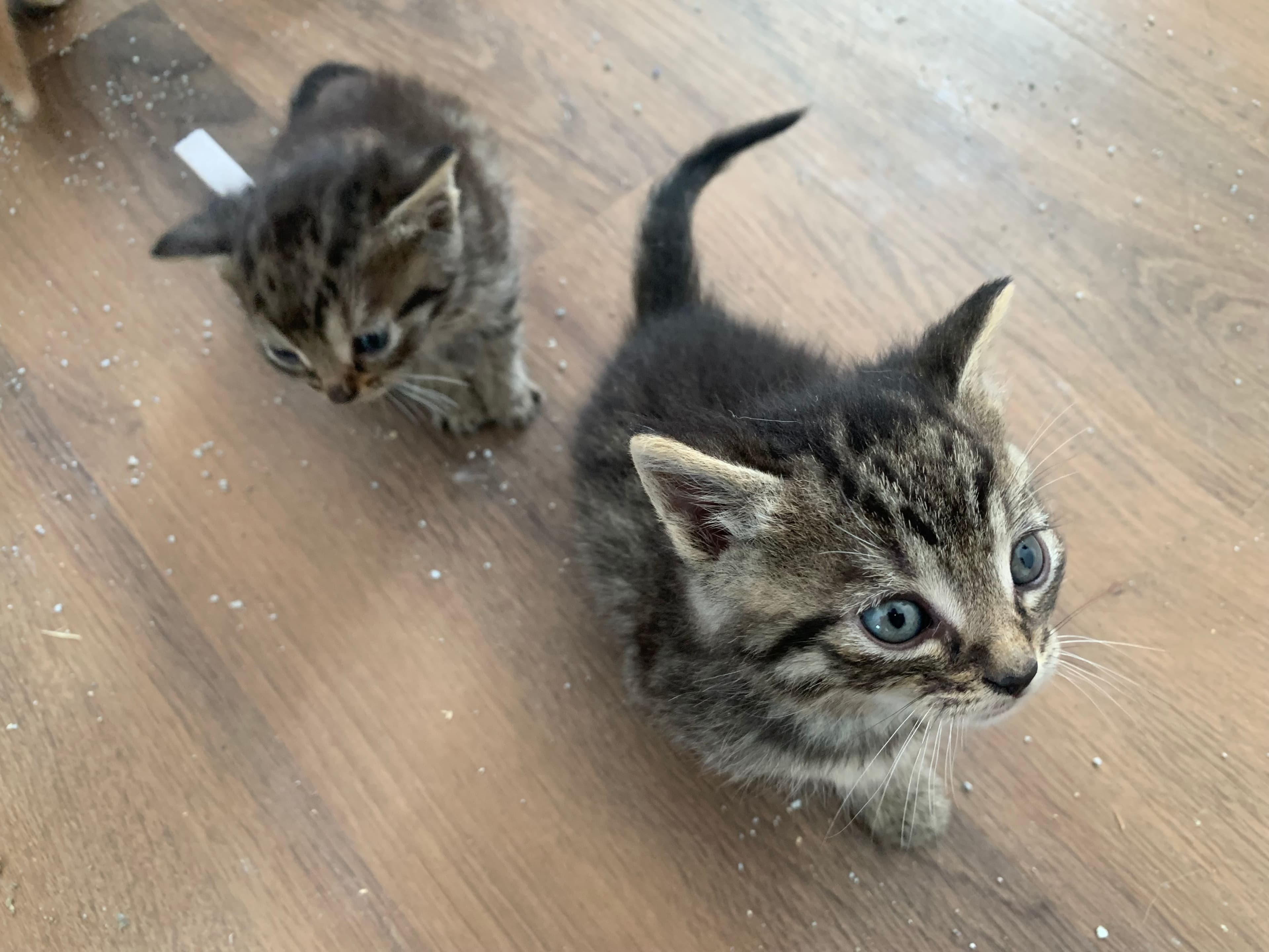 Photo Vincent Desbiens Le Journal de Québec