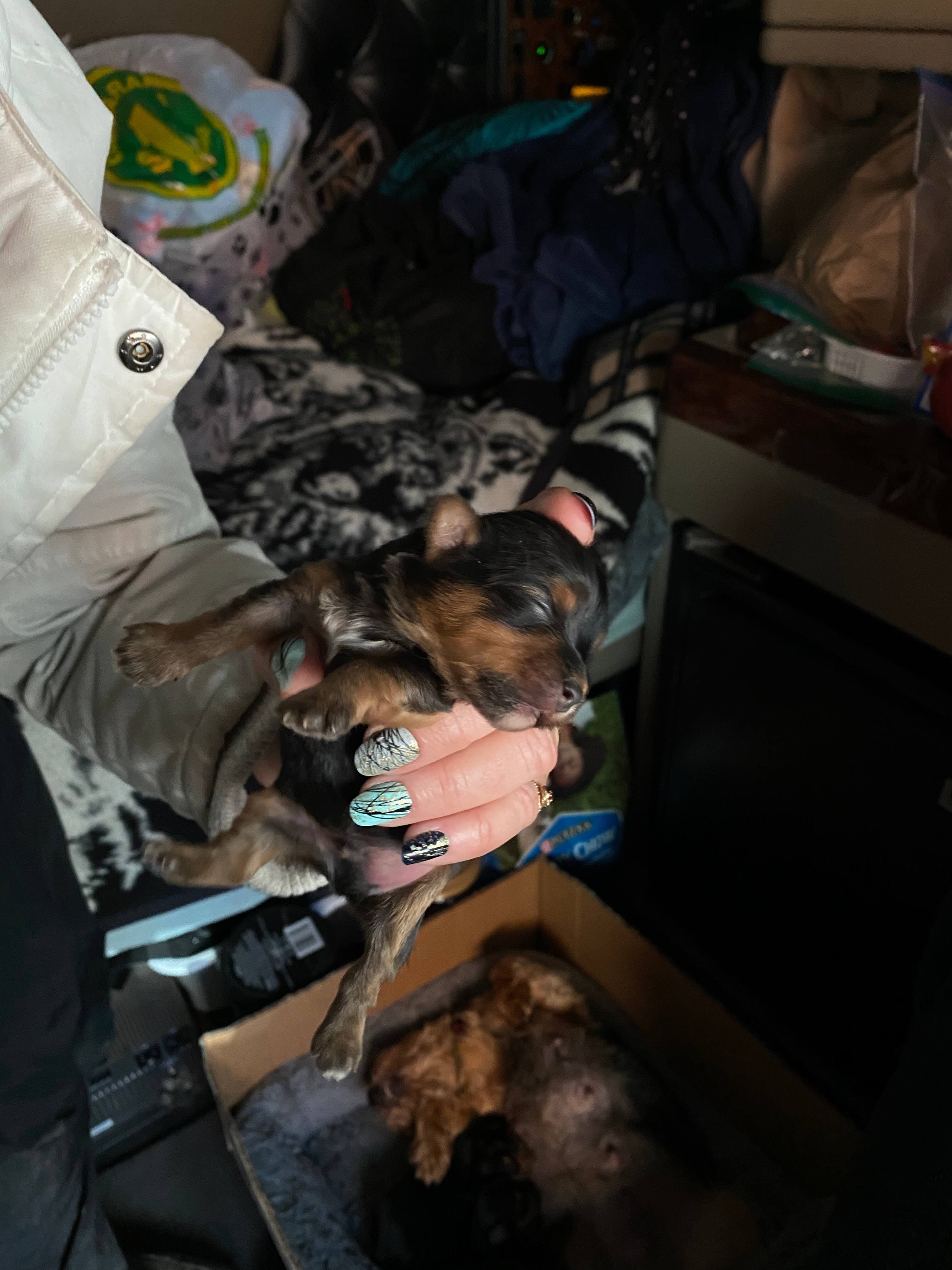 Photo Nora T. Lamontagne