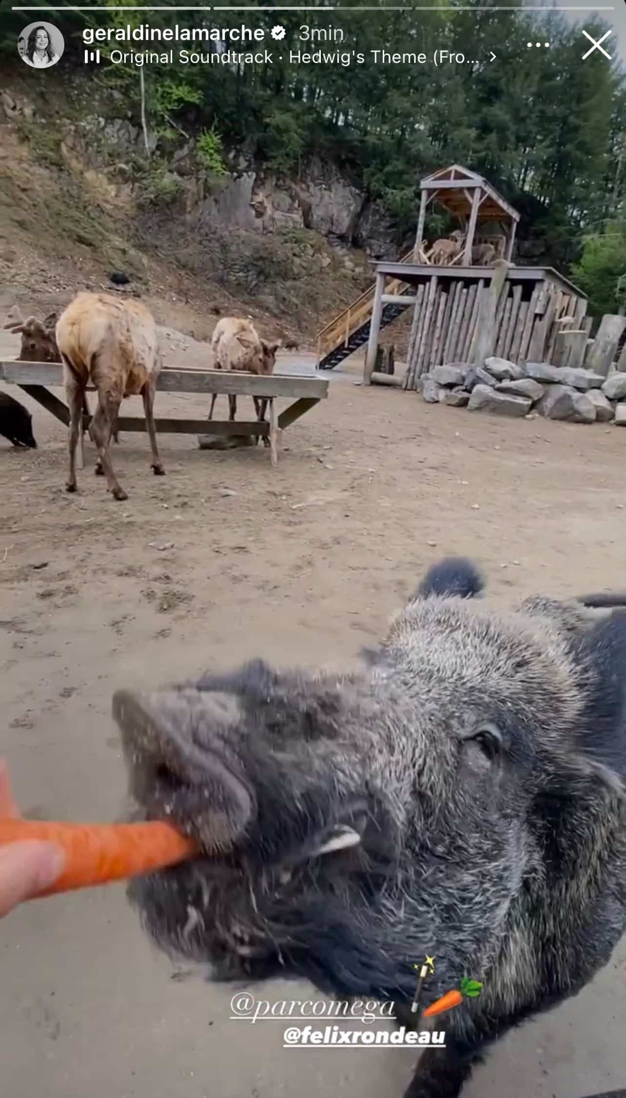 Instagram Géraldine Lamarche