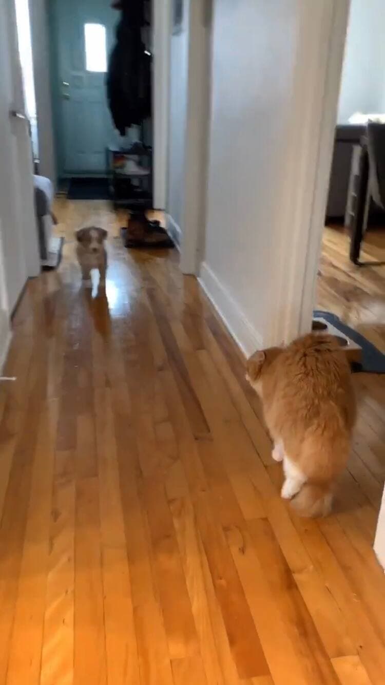 Capture d'écran Instagram