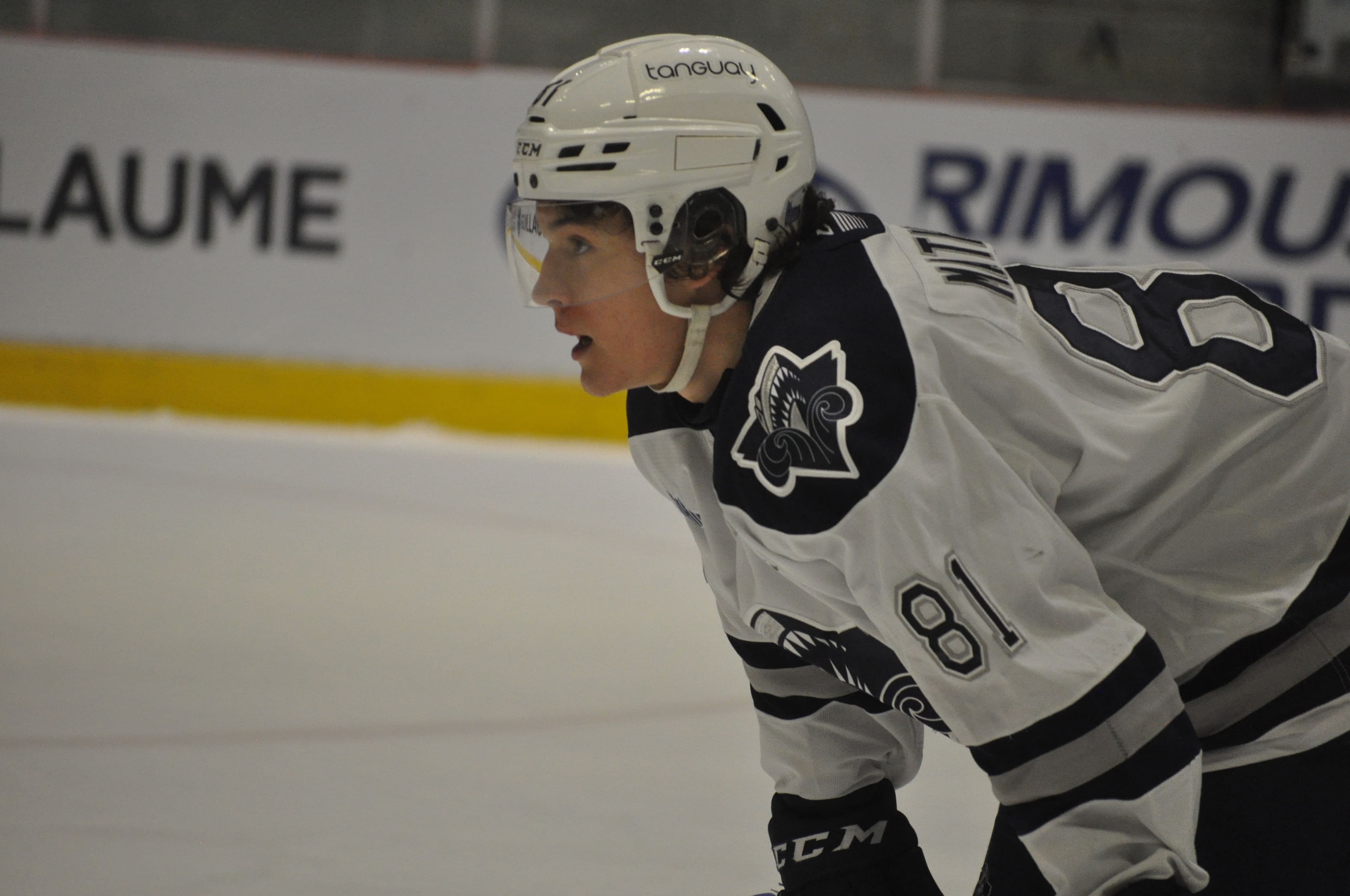 Alexandre D’Astous