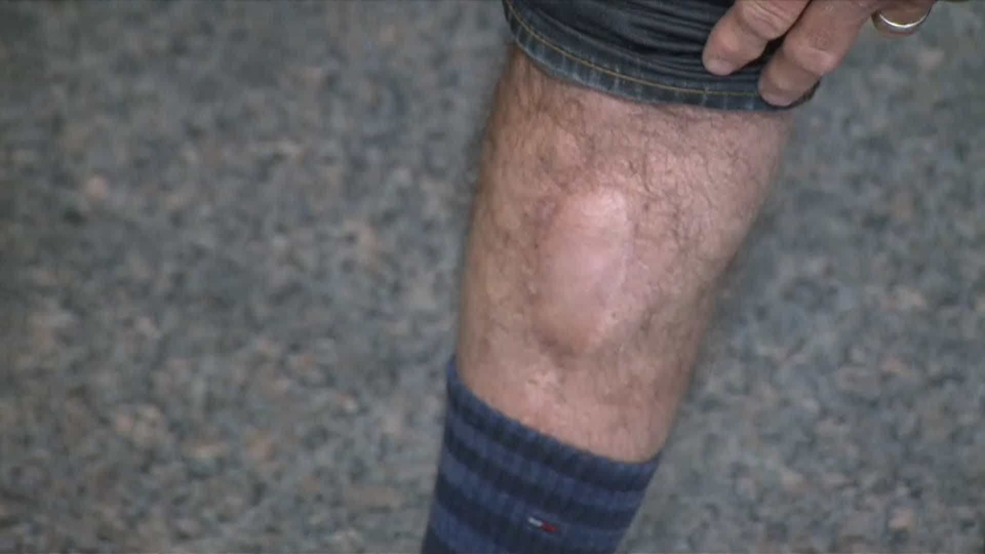 capture d'écran | TVA Nouvelles