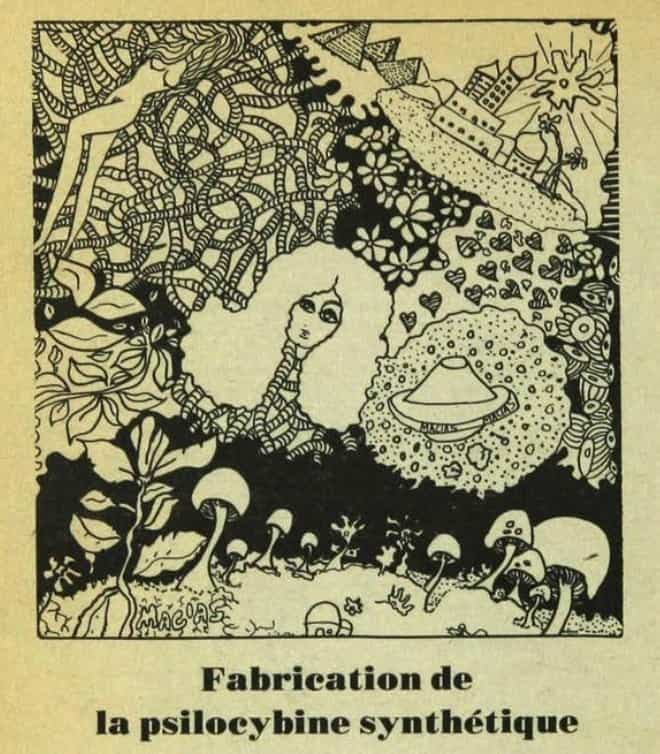 Illustration accompagnant un article sur la fabrication maison de psilocybine, l'élément psychoactif des champignons magiques, publié dans «Mainmise».