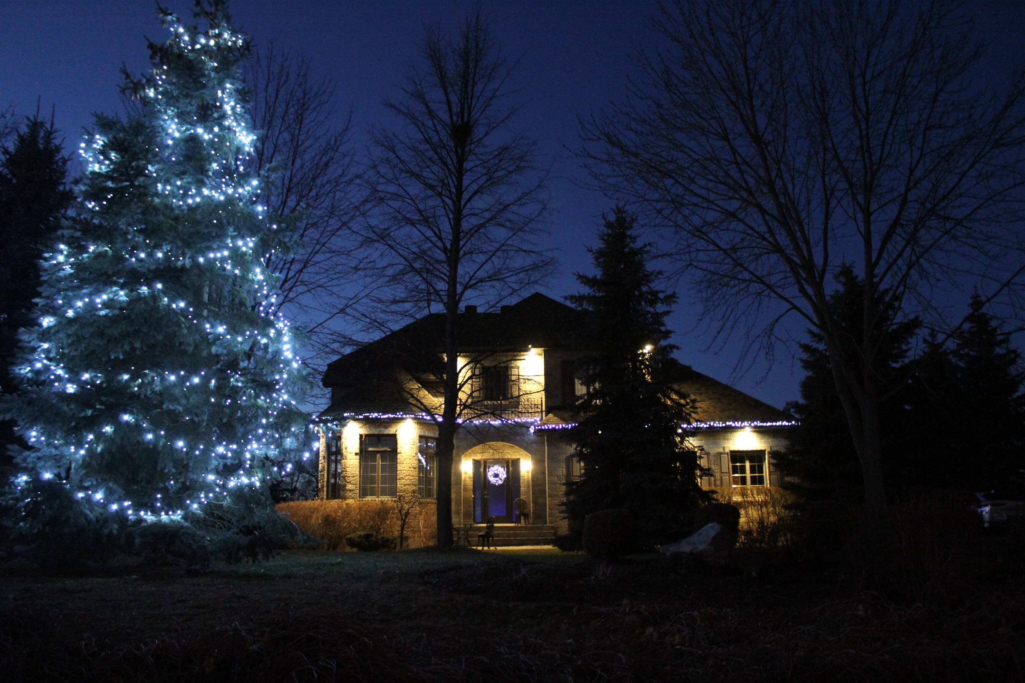 Une maison décorée par l'équipe de Georgy Beketov