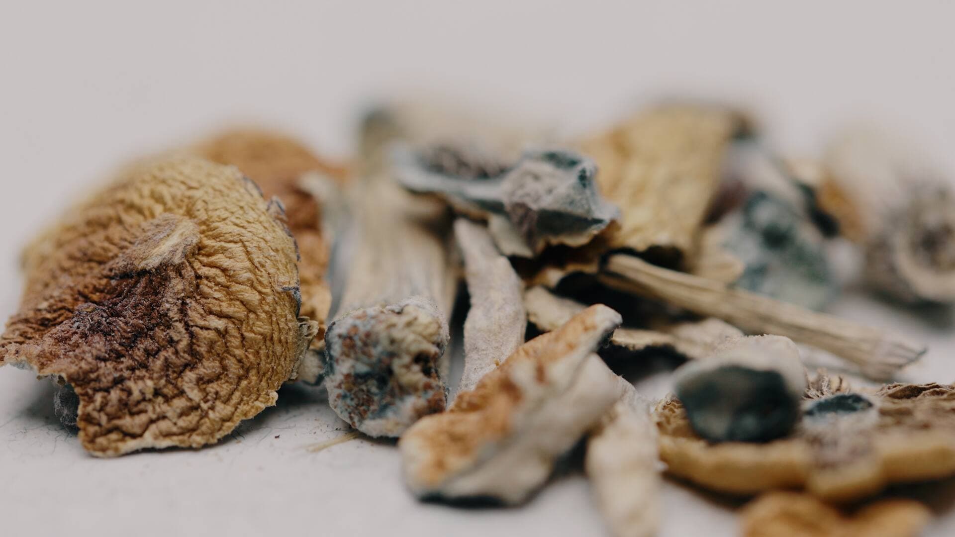 Photo Étienne Brière