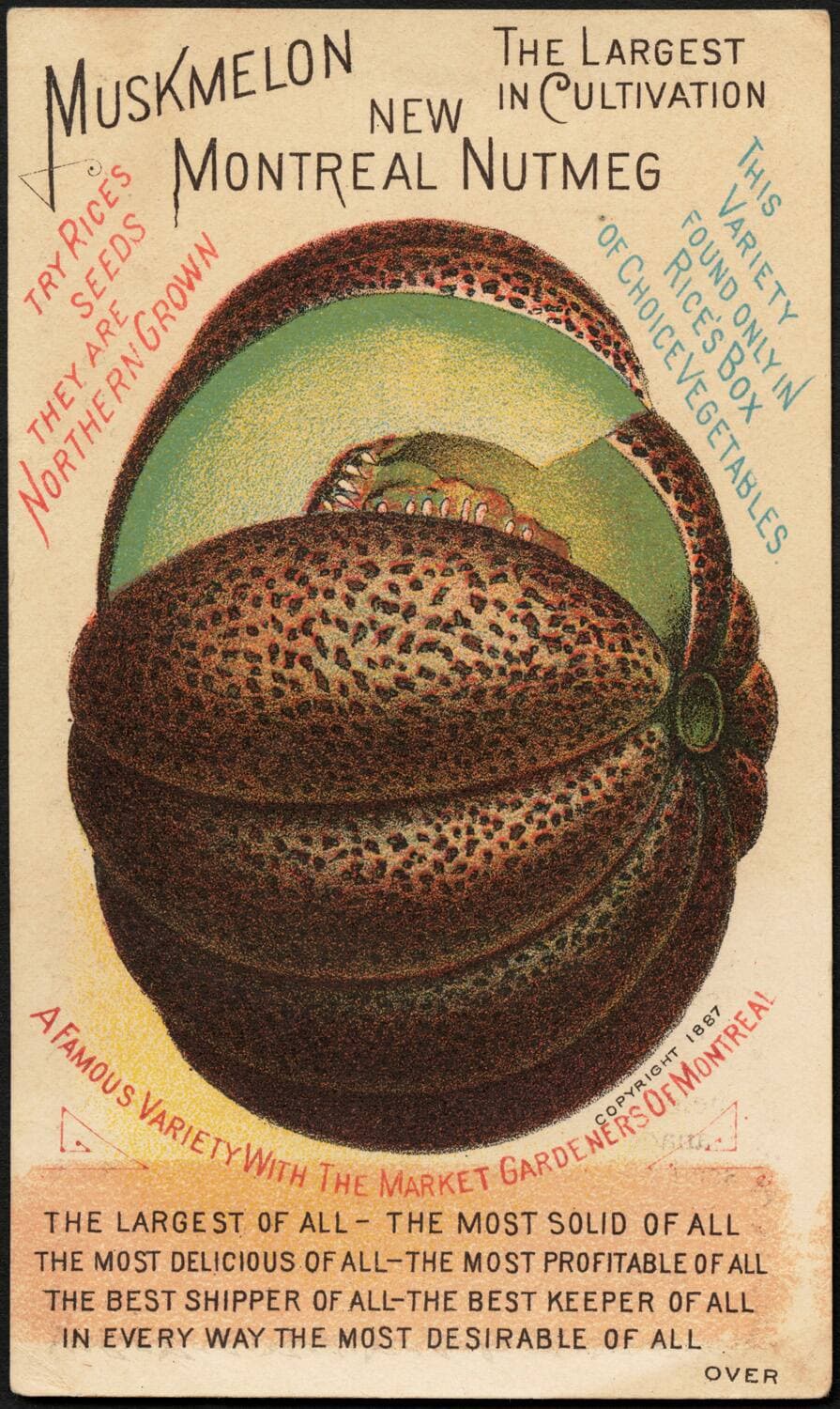 Wikipedia (Boston Public Library)