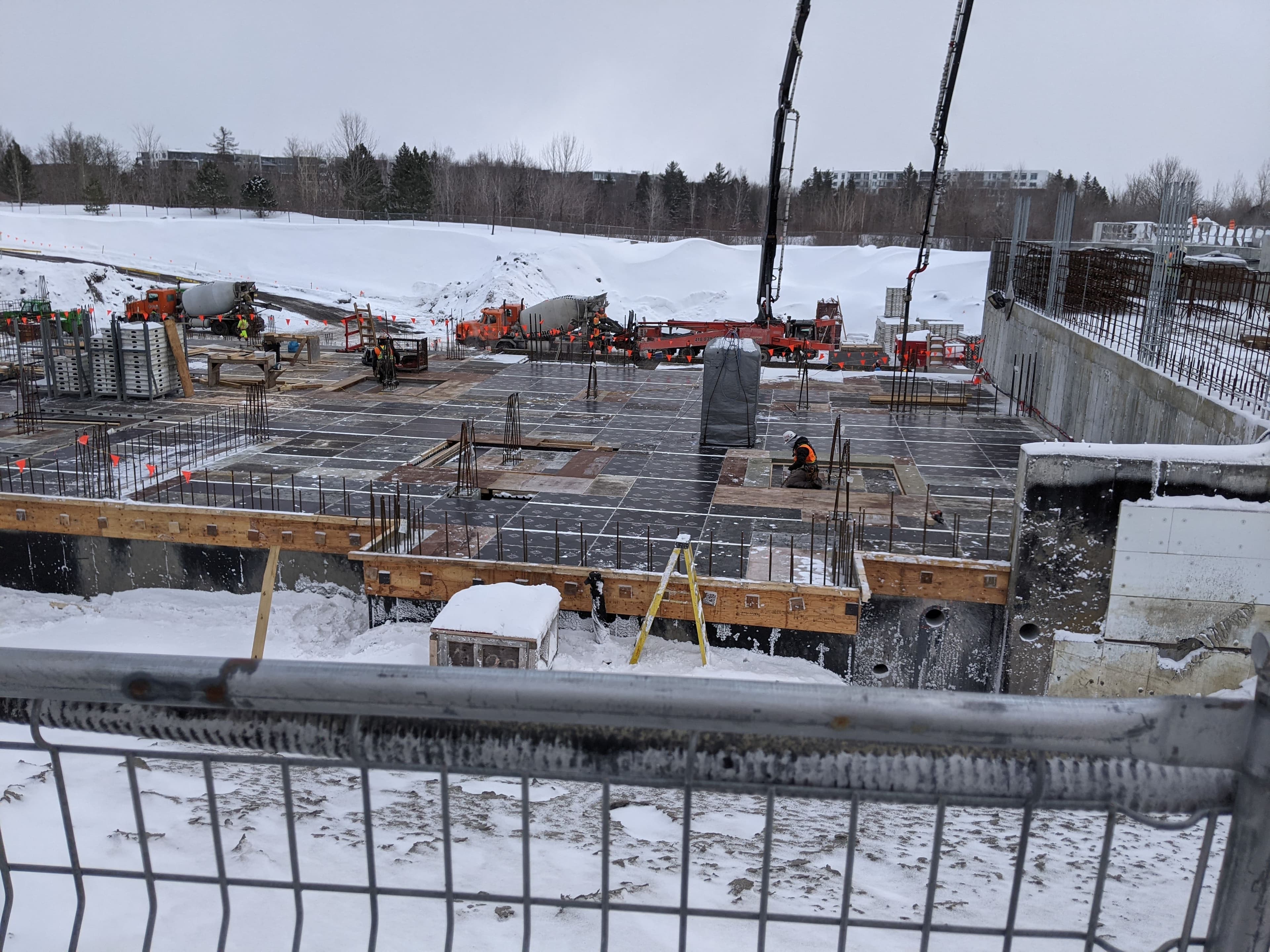 Photo Diane Tremblay