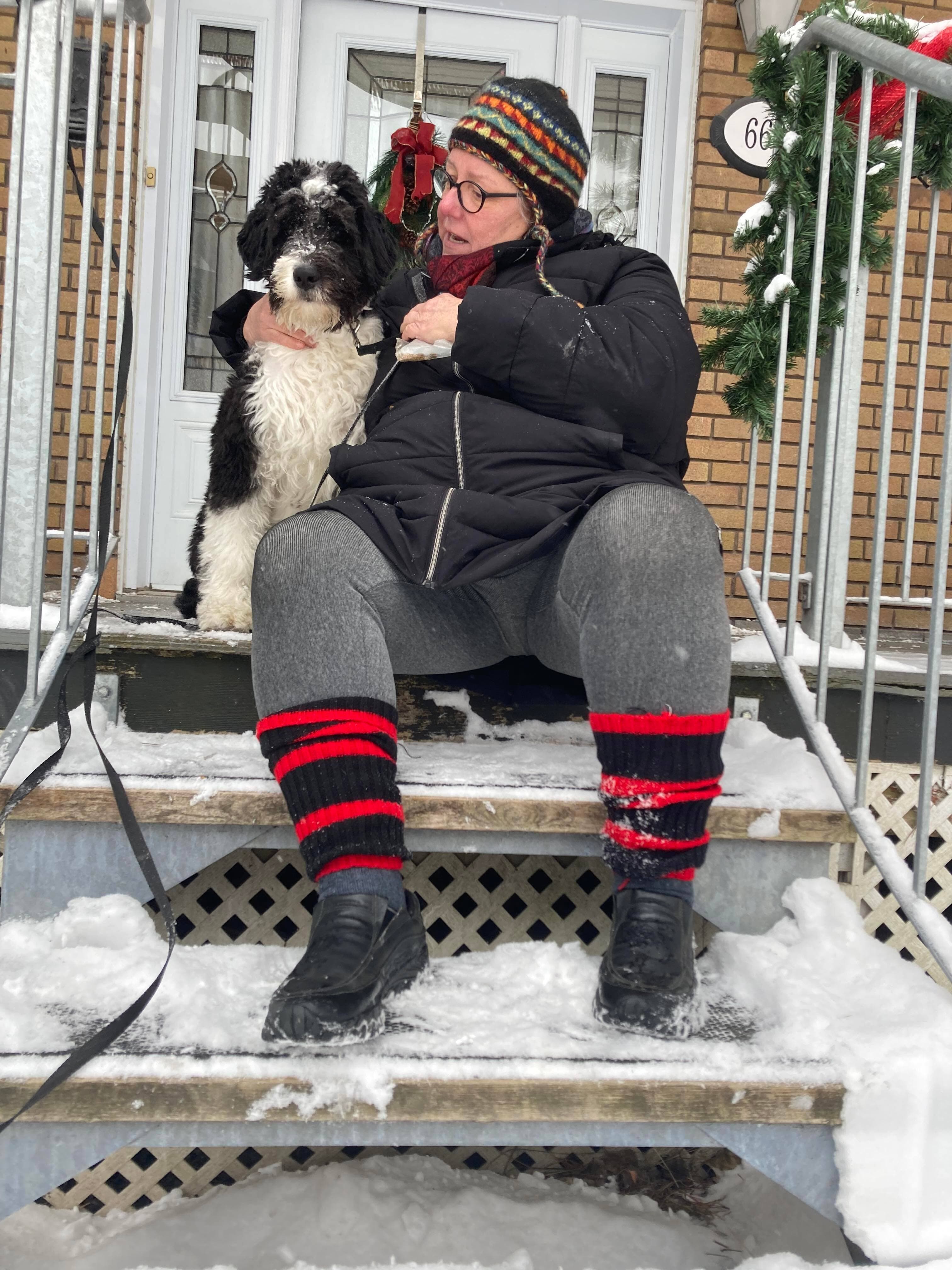 Packo, un énergique aussiedoodle de sept mois, a été adopté à la SPA de Québec en octobre dernier. Il vit désormais dans le quartier de Limoilou avec sa nouvelle propriétaire, Sylvie Drolet.