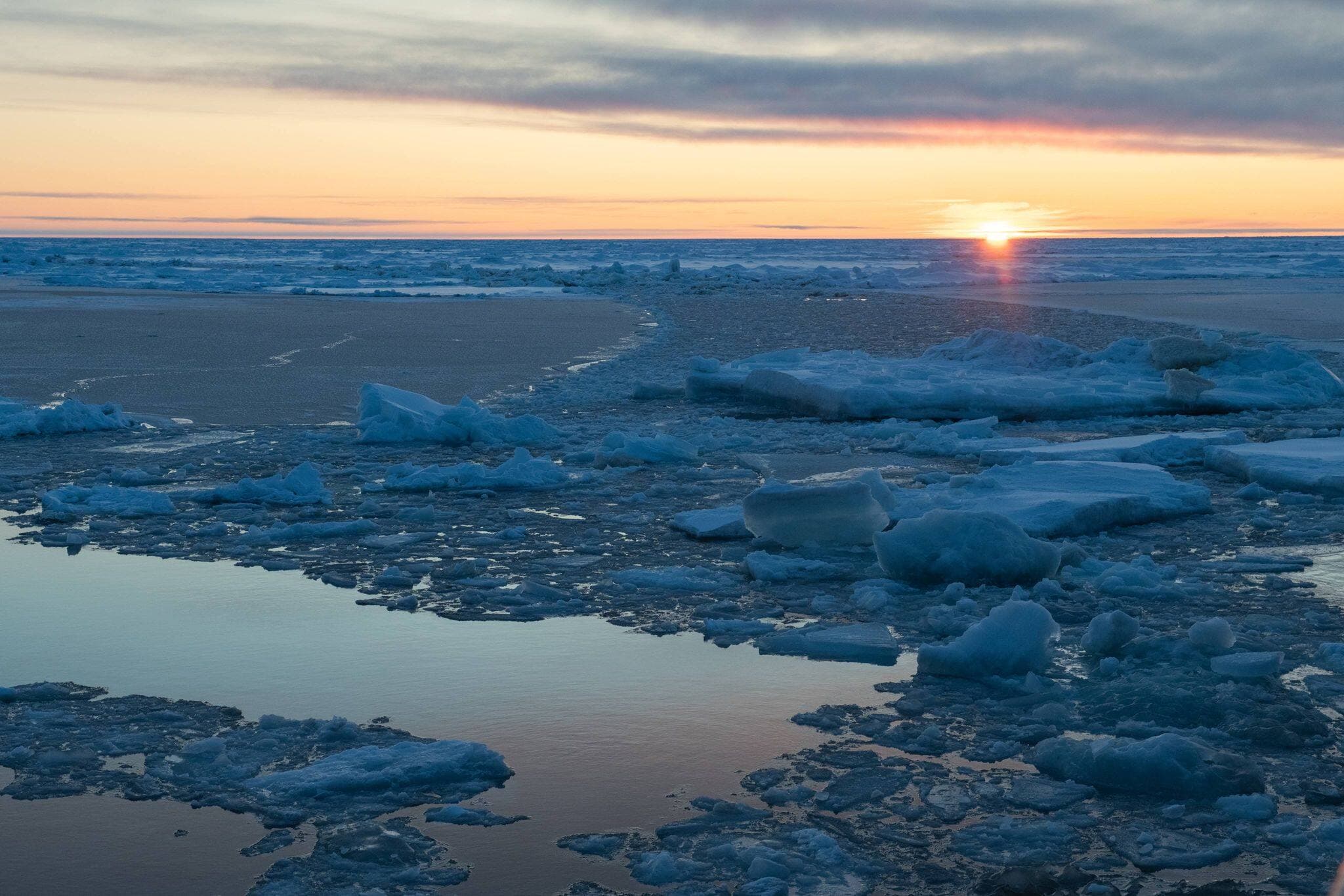 Esther Horvath/MOSAIC Expedition