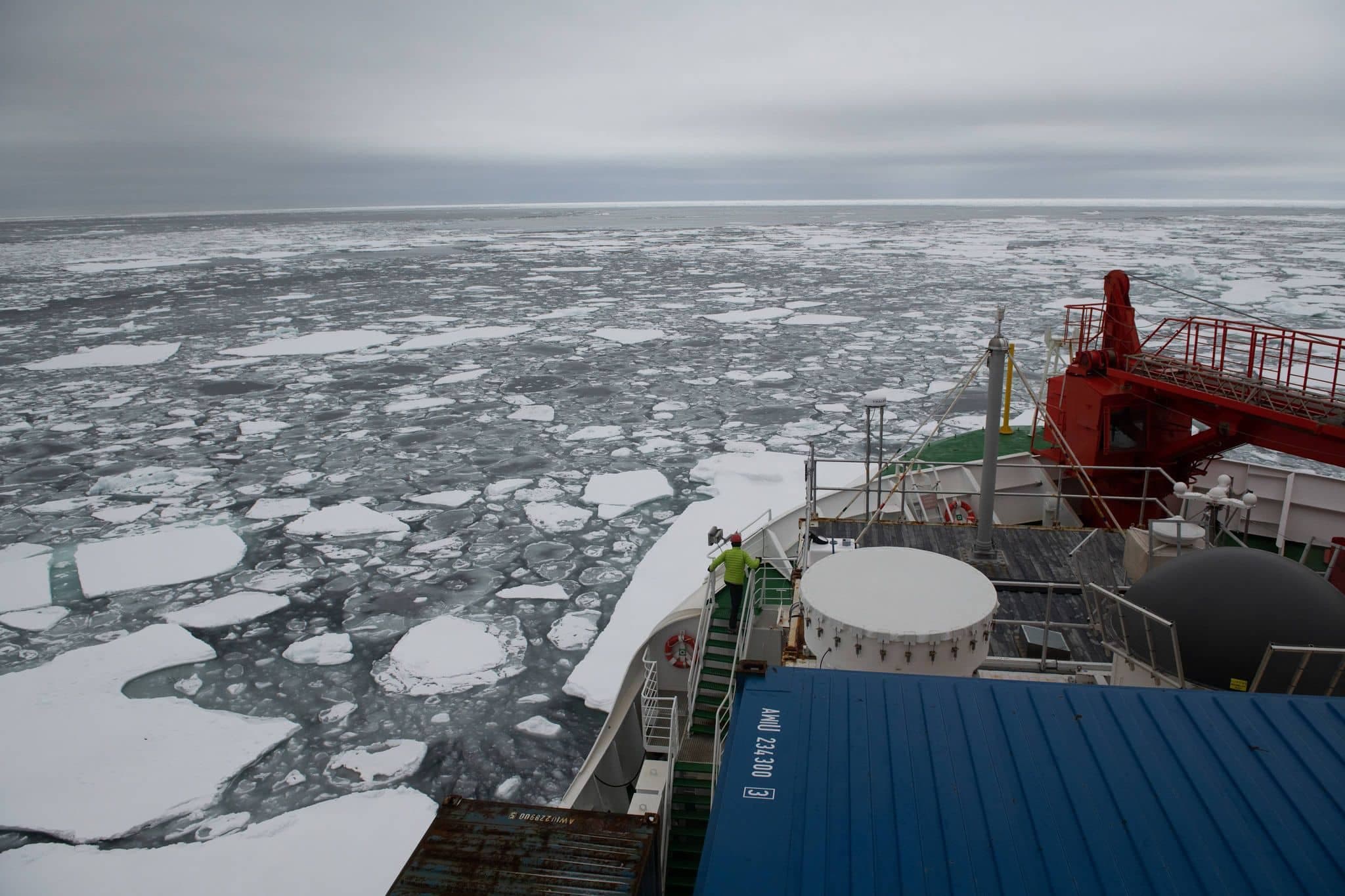 Esther Horvath/MOSAIC Expedition