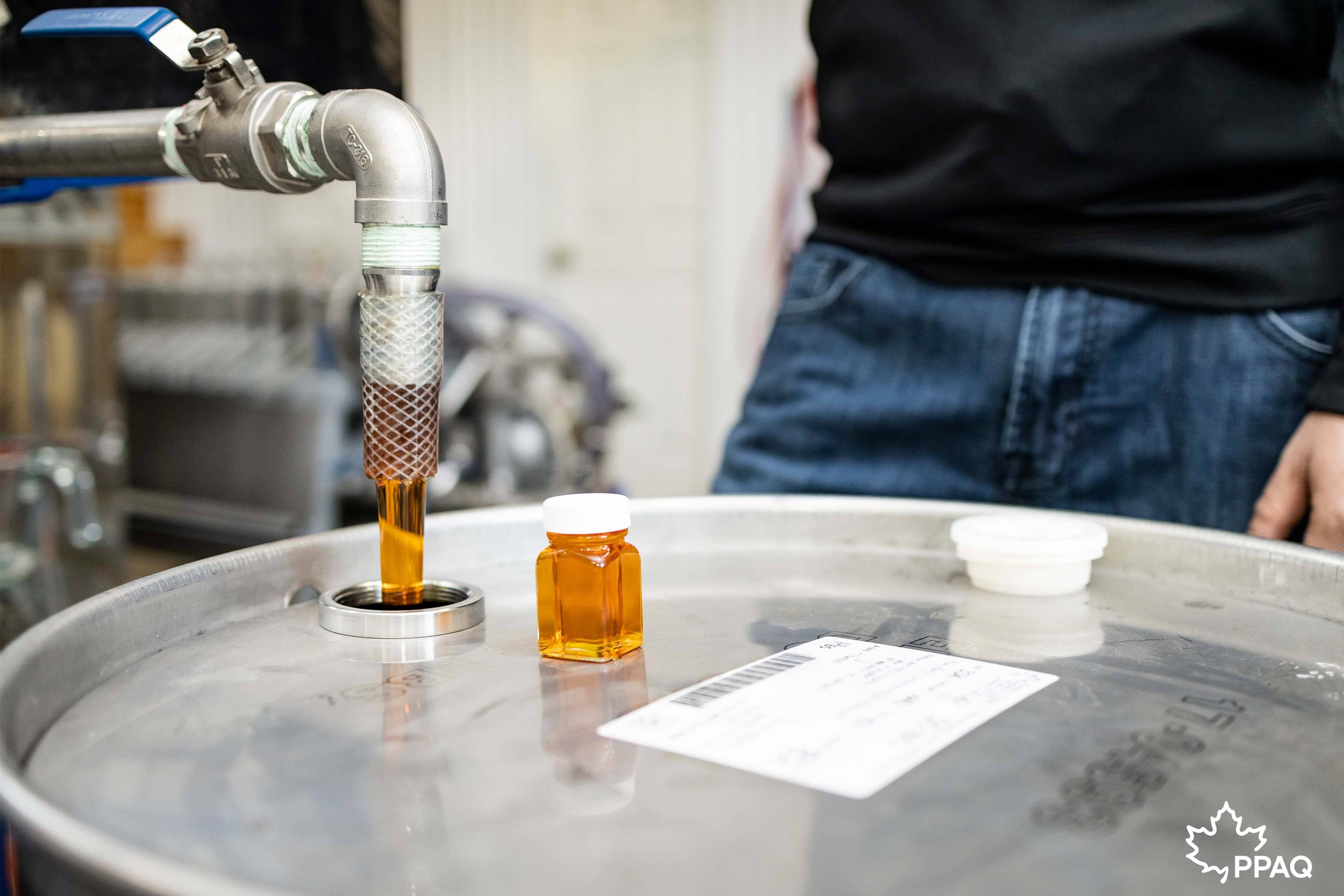 Photo Producteurs et productrices acéricoles du Québec