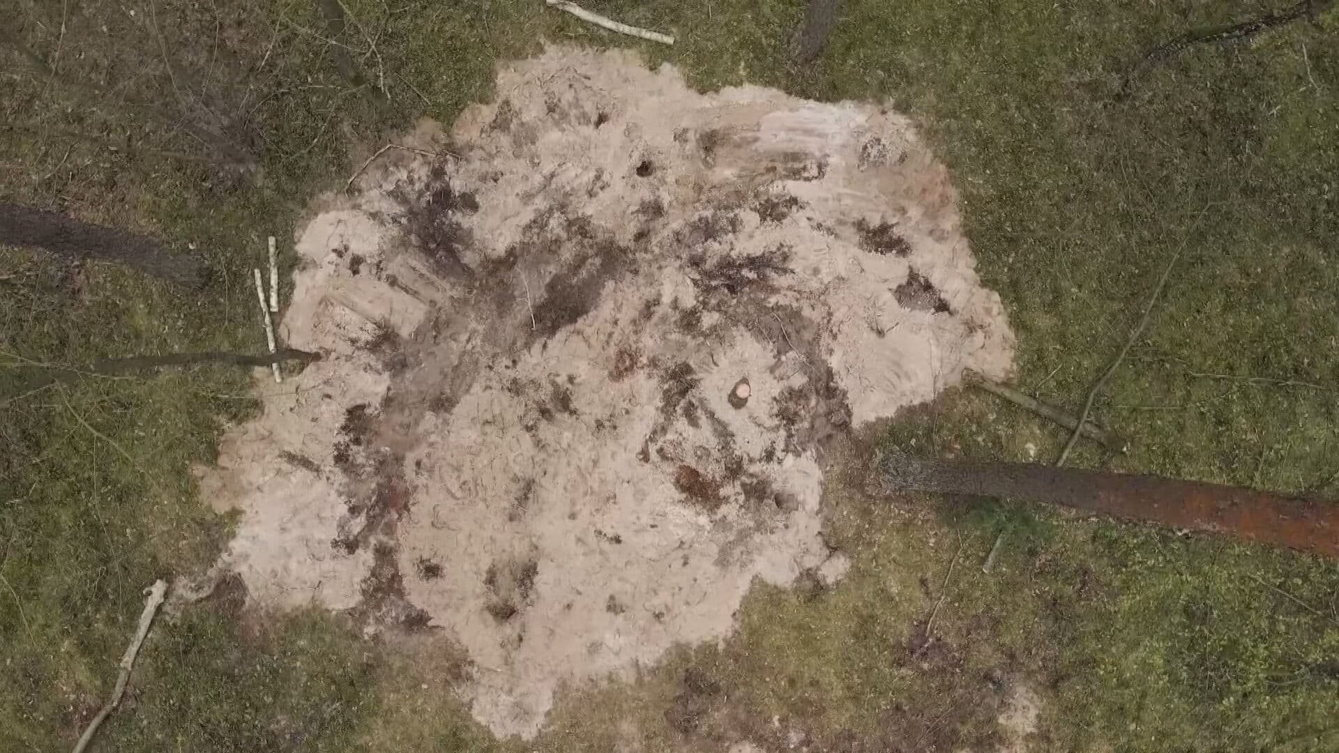 CAPTURE D'ÉCRAN/REUTERS