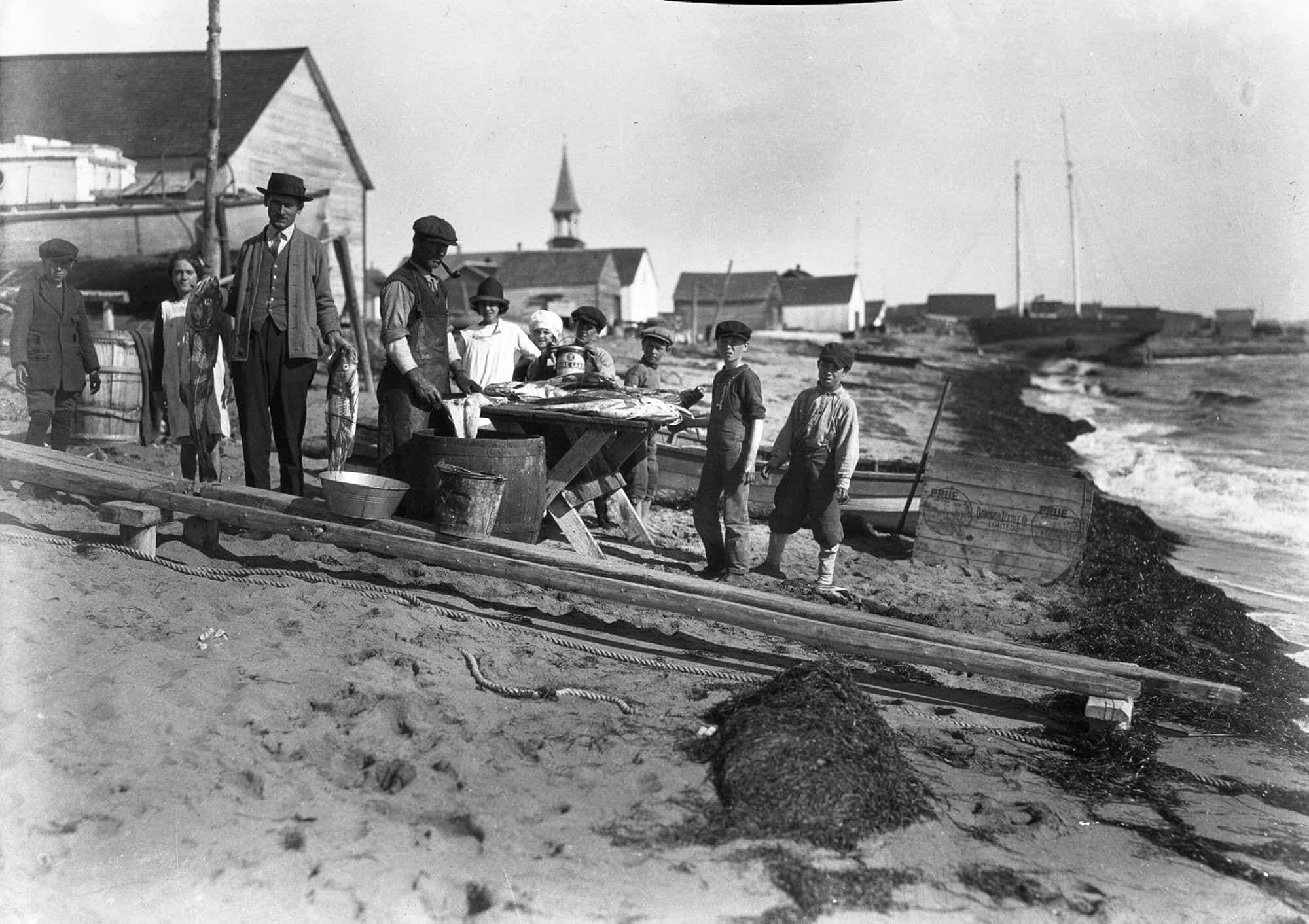 Tranchage de la morue sur la plage de Sept-Îles, au milieu des années 1920. Présent sur cette photo déclenchée à distance, Joseph-Émile Chabot tient deux morues.