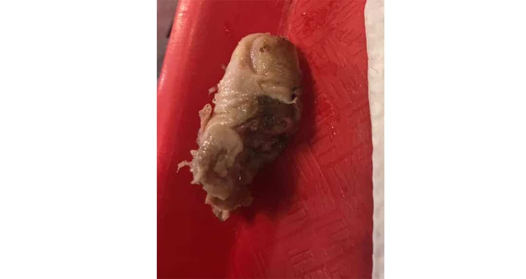 Facebook: Estefany Benitez