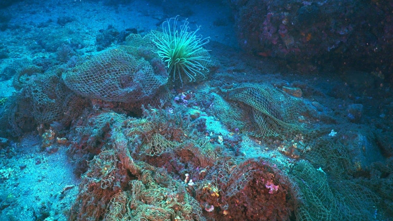 Photo tirée de Facebook, Equilibrio Marino