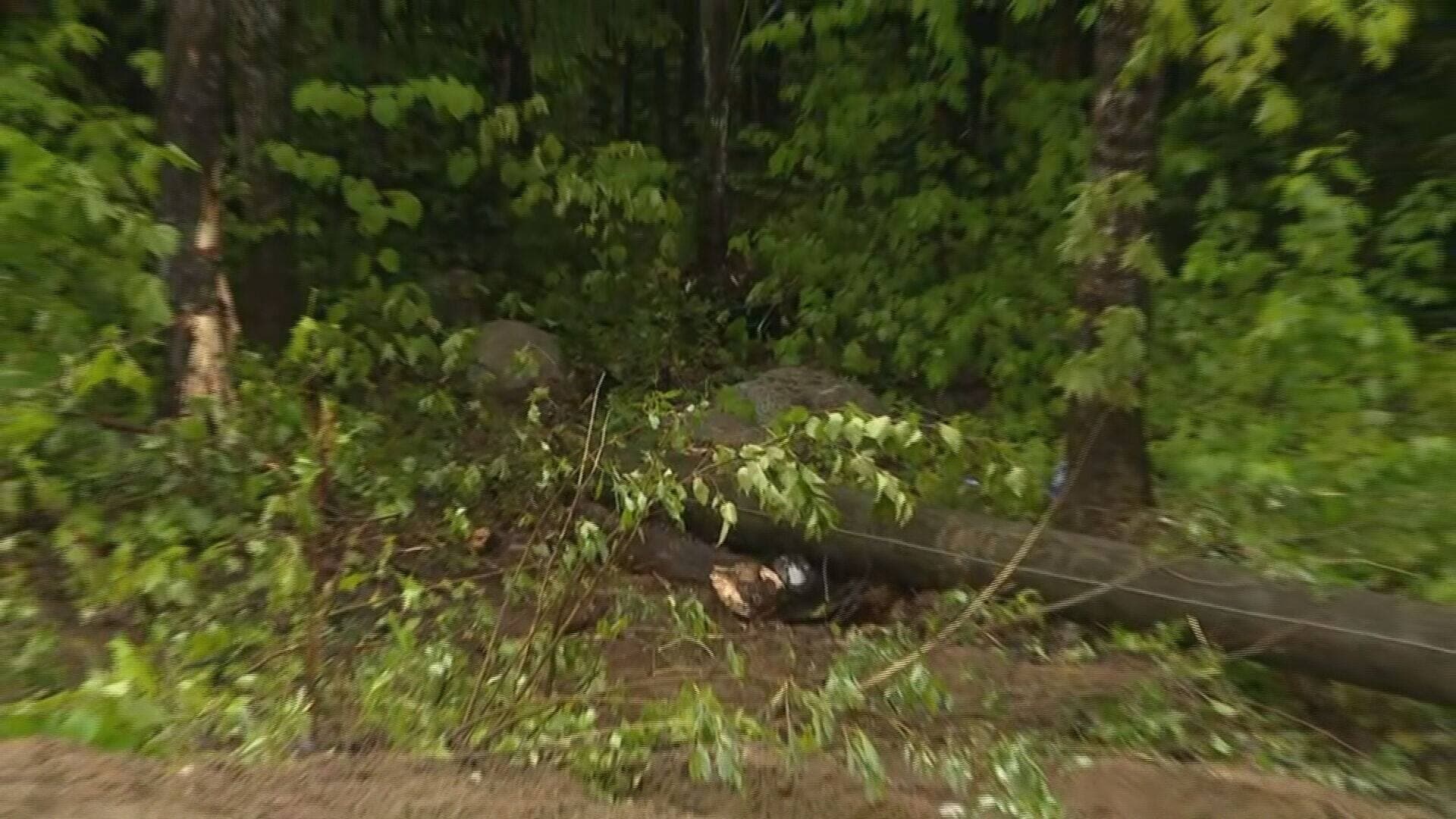 capture d'écran | TVA Nouvelles