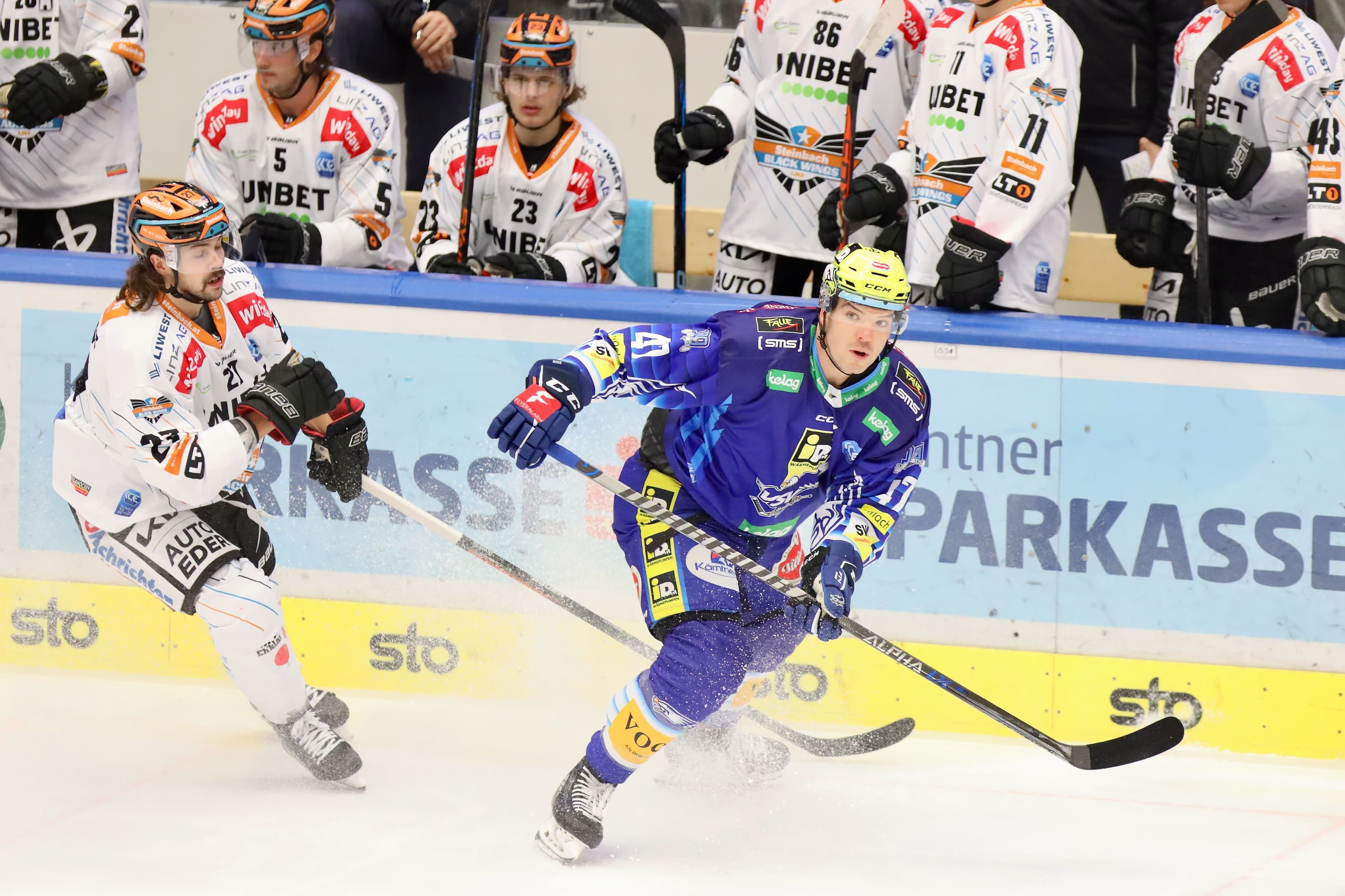 Courtoisie / VSV Krammer