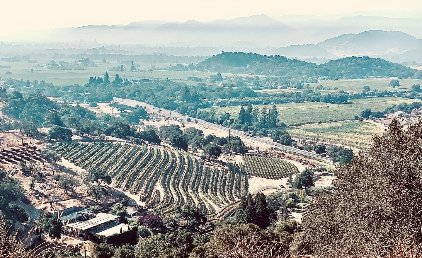 Le domaine Vine Cliff dans la Napa Valley, en Californie.