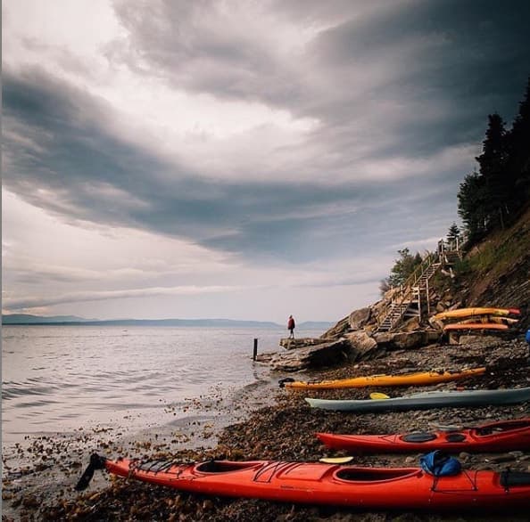 Instagram : @francisfraioli