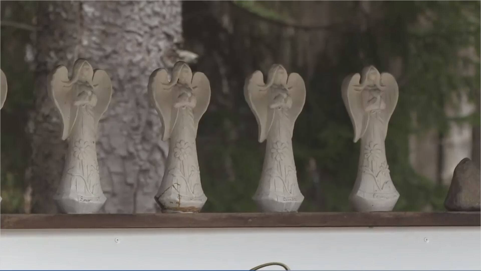 Capture d'écran, TVA Nouvelles