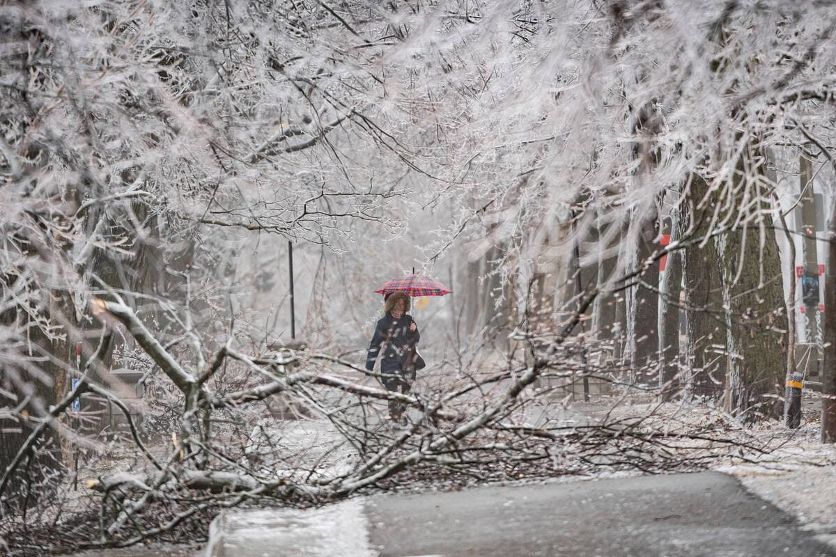 Photo Agence QMI, Joël Lemay