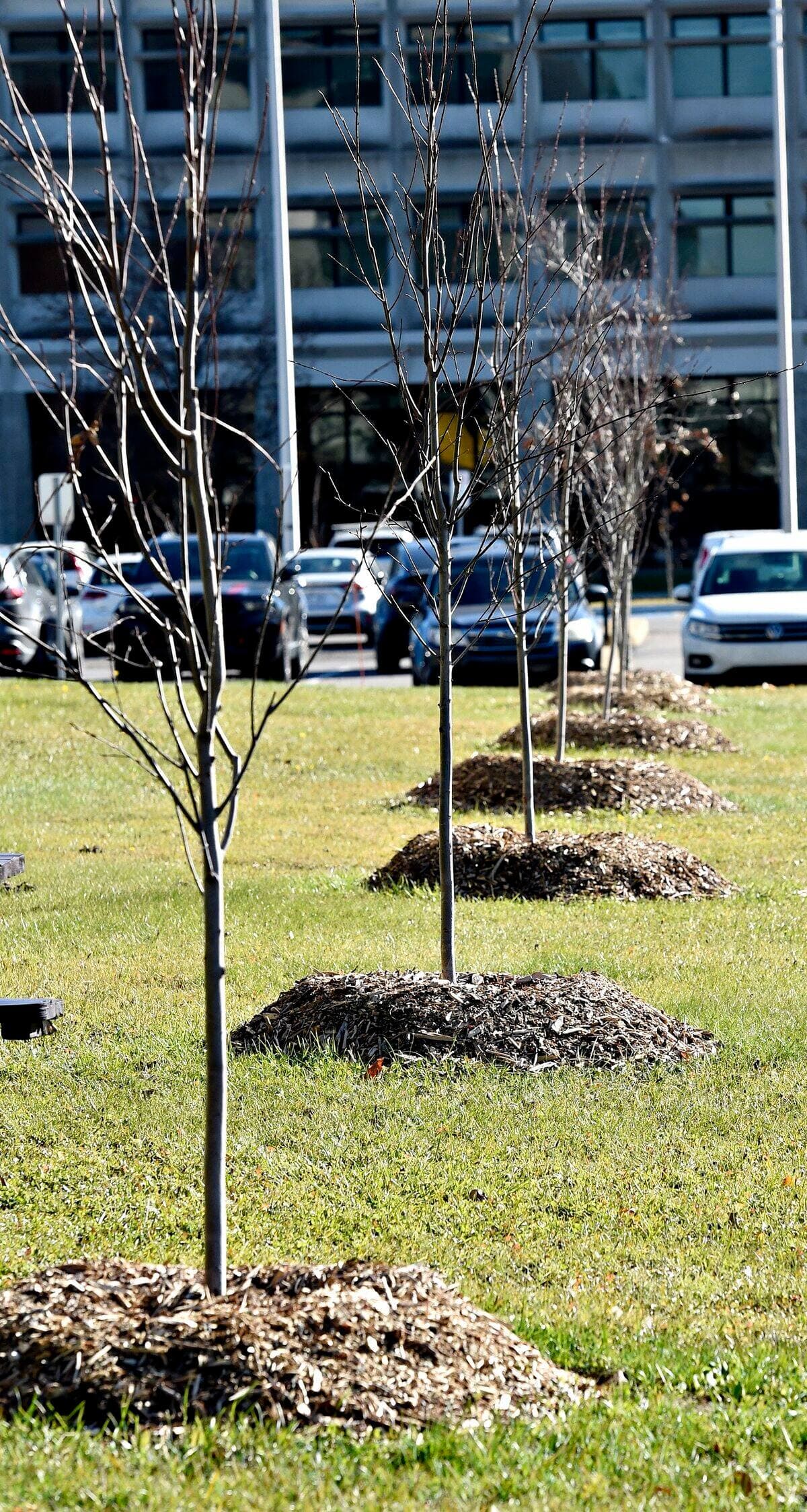 Photo Stevens LeBlanc