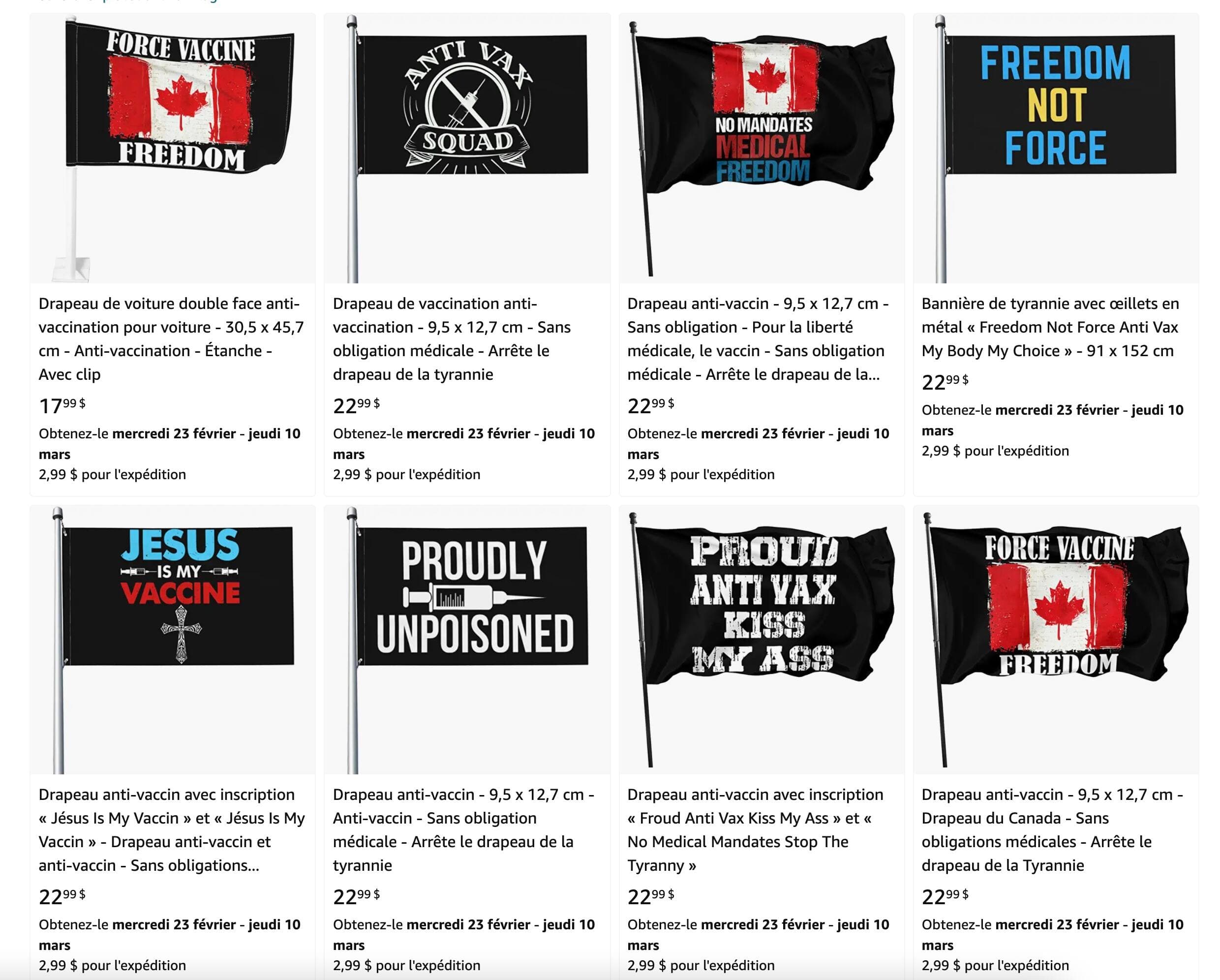 Voici les premiers résultats qui apparaissent lorsque l'on inscrit «antivax flag» dans le moteur de recherche d'Amazon.
