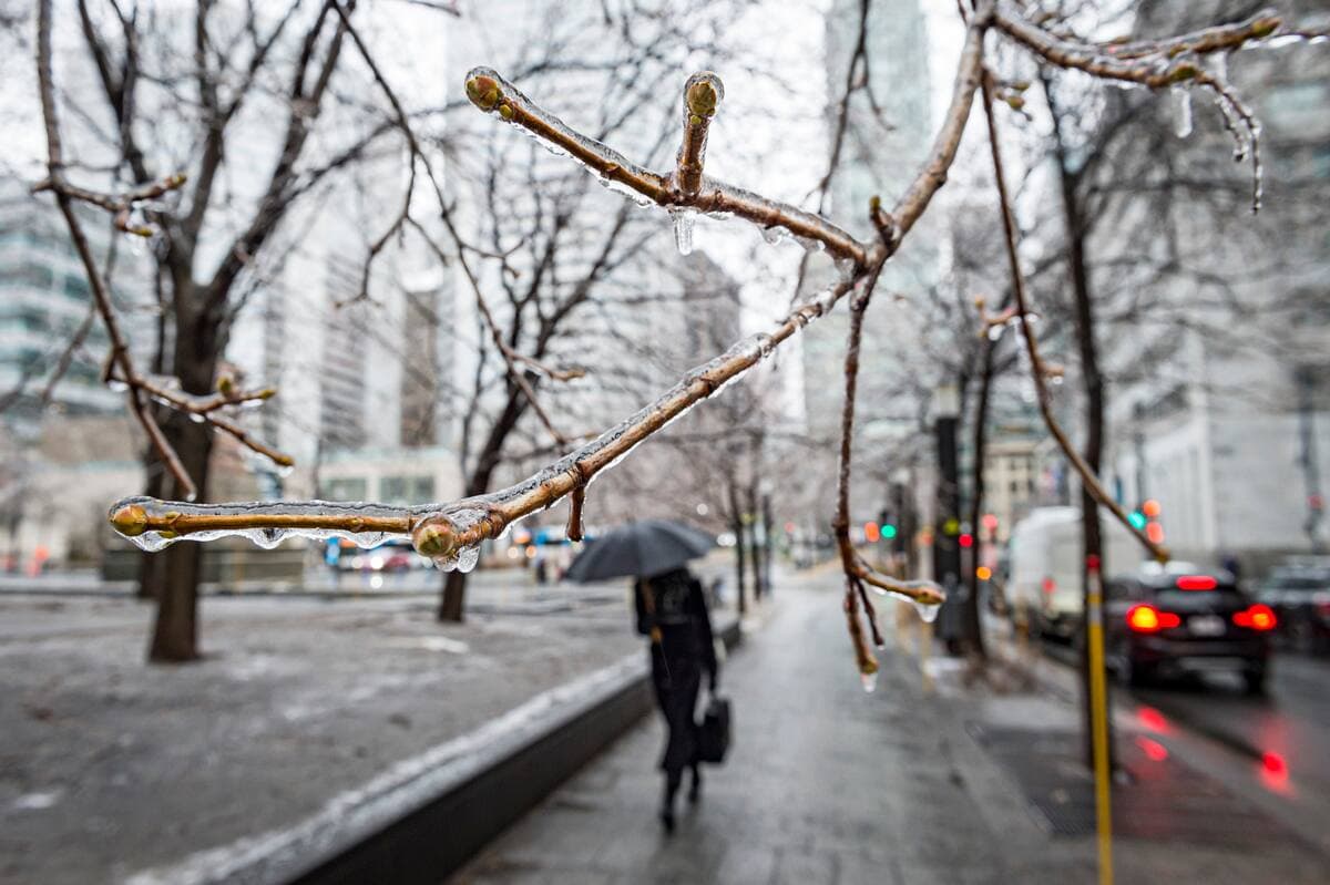 Photo Agence QMI, Joël Lemay