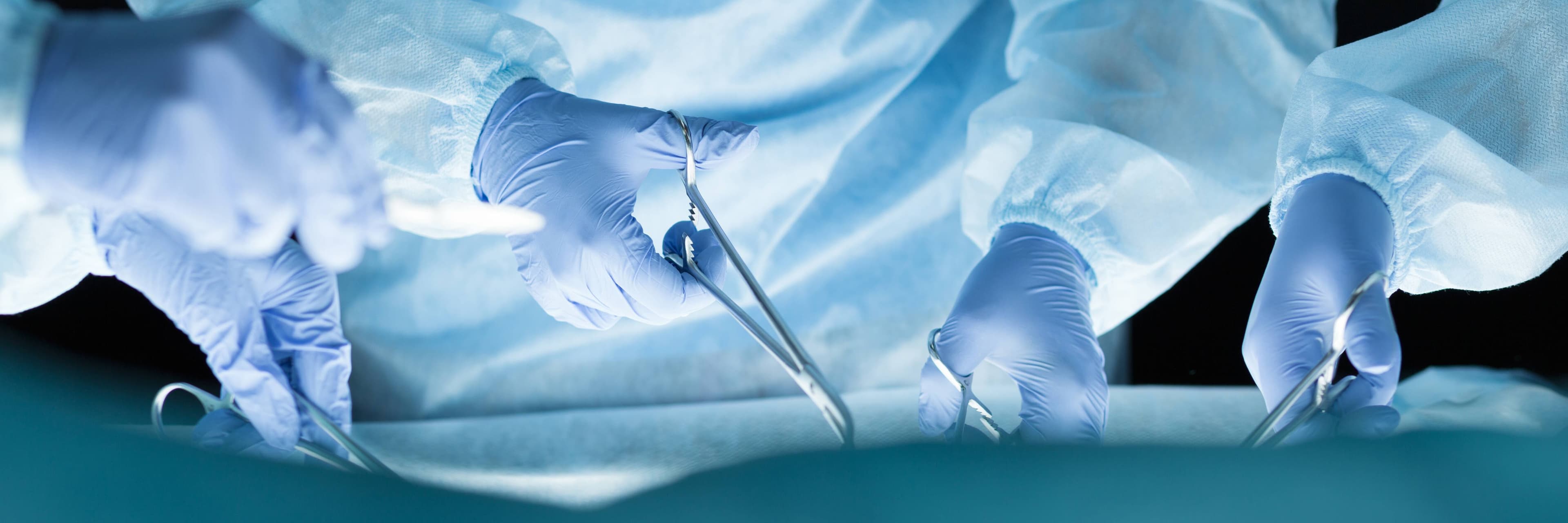 morganka - stock.adobe.com