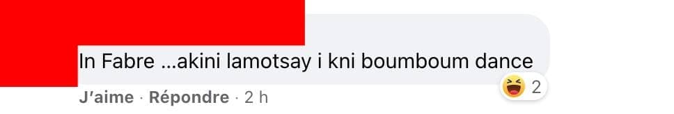 Capture d'écran / Facebook STM - Mouvement collectif