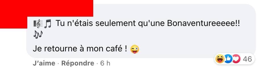 Capture d'écran / Facebook STM - Mouvement collectif