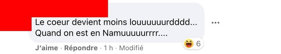 Capture d'écran / Facebook STM - Mouvement collectif