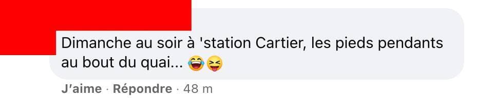 Capture d'écran / Facebook STM - Mouvement collectif