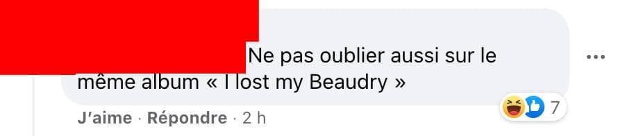 Capture d'écran / Facebook STM - Mouvement collectif