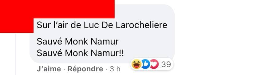 Capture d'écran / Facebook STM - Mouvement collectif