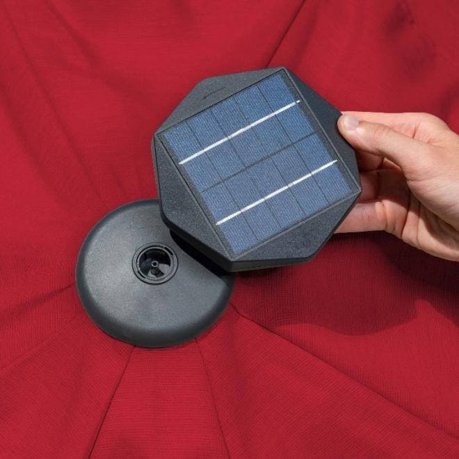 CAPTURE D'ÉCRAN | COSTCO