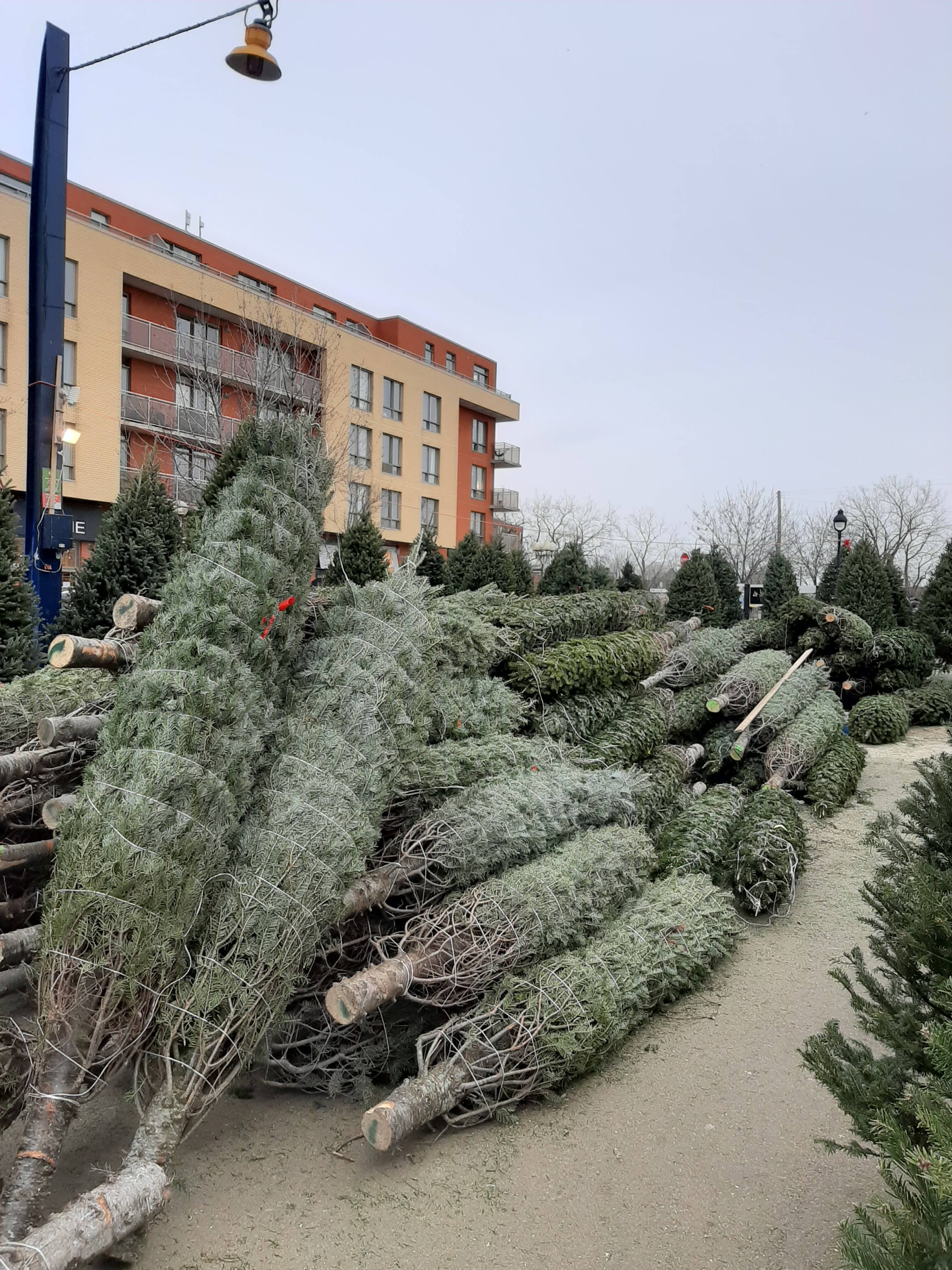 CAMILLE LALANCETTE/24 HEURES/AGENCE QMI