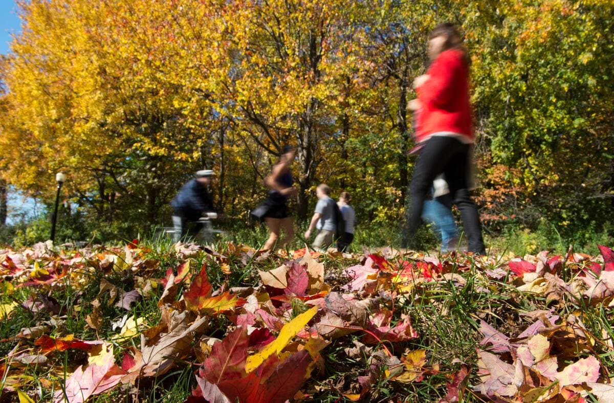 JOEL LEMAY/AGENCE QMI