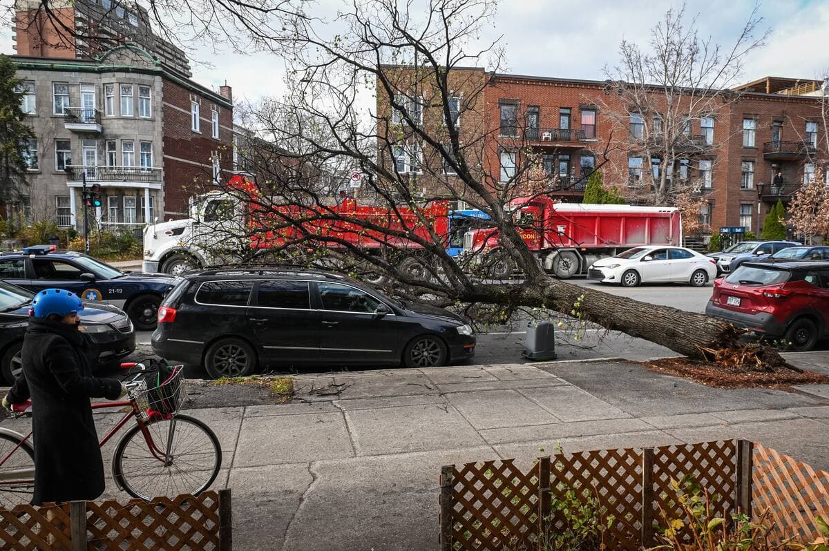 MAXIME DELAND/AGENCE QMI