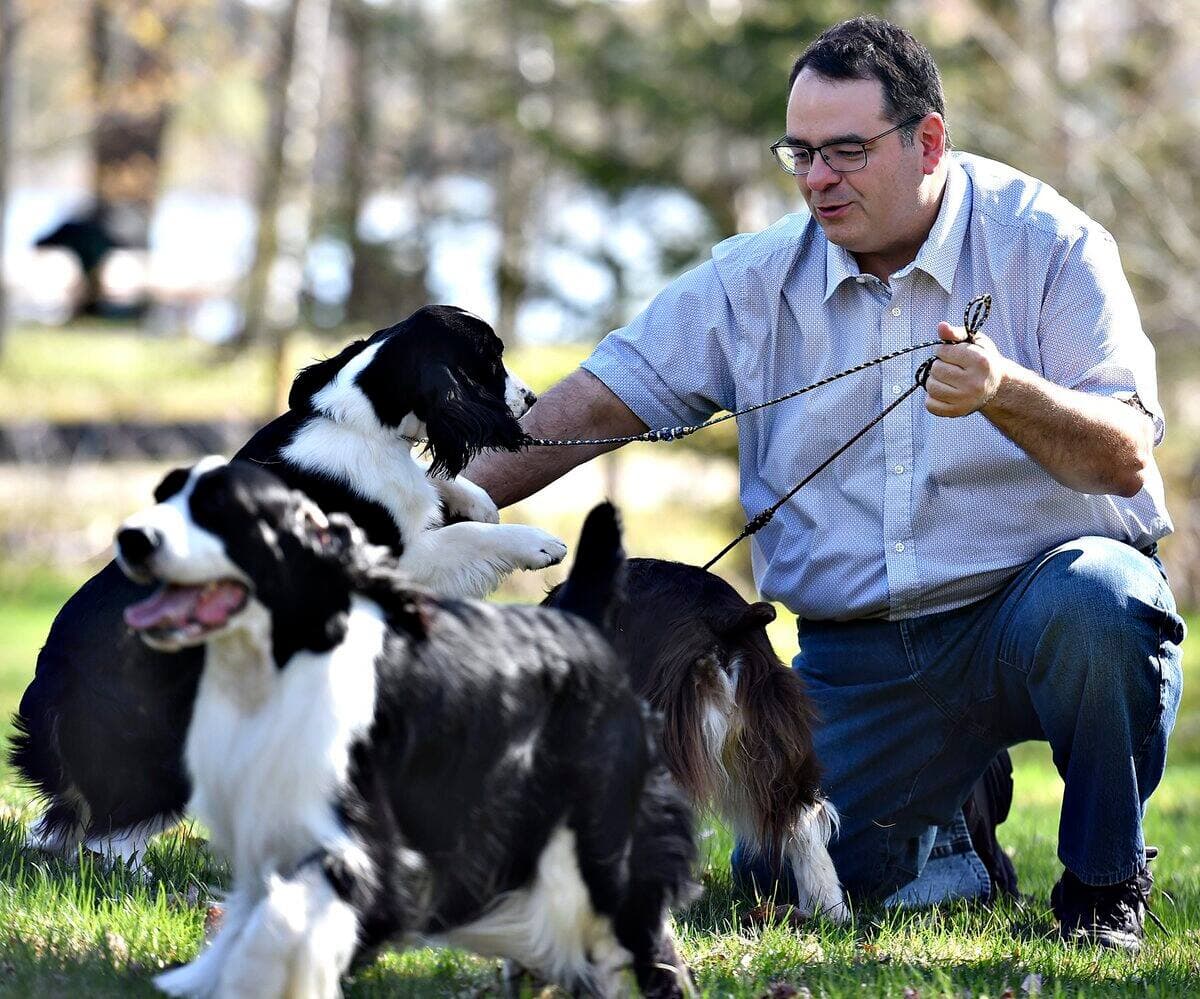 Danick Pelletier, éleveur d'épagneuls springer anglais à Saint-Étienne-de-Lauzon, peine à trouver des familles pour ses chiots de 3 semaines, alors qu'il avait des listes d'attente importante, autrefois. STEVENS LEBLANC/JOURNAL DE QUEBEC/AGENCE QMI)