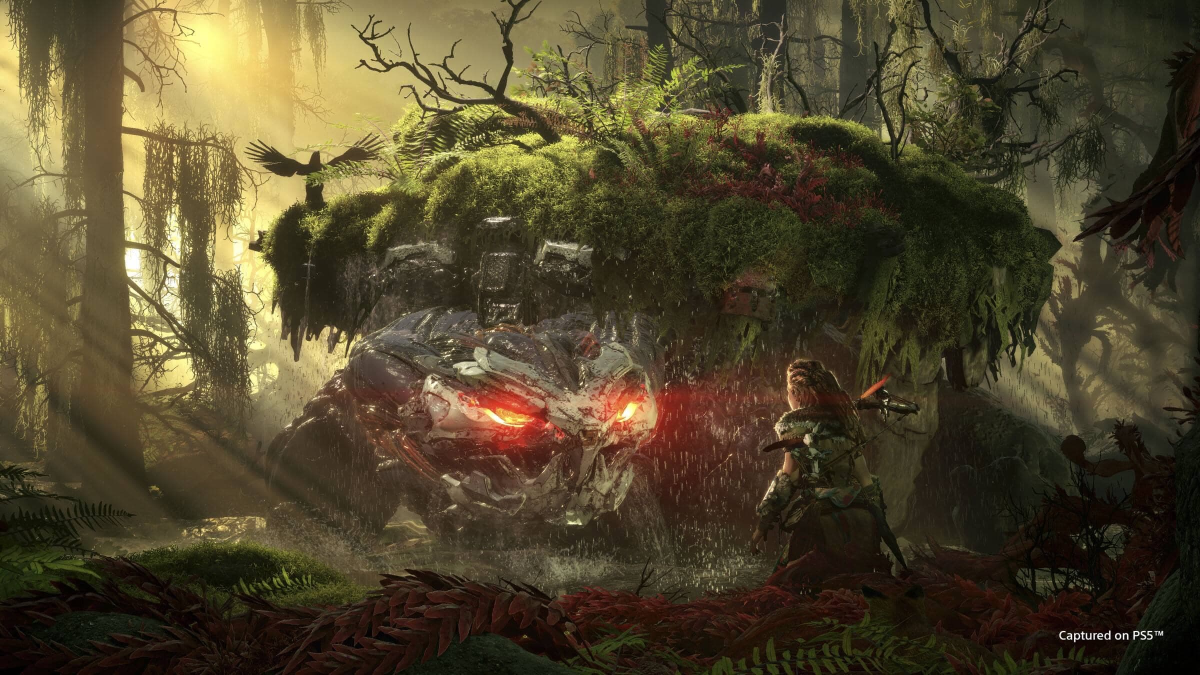 Image courtoisie Guerrilla Games