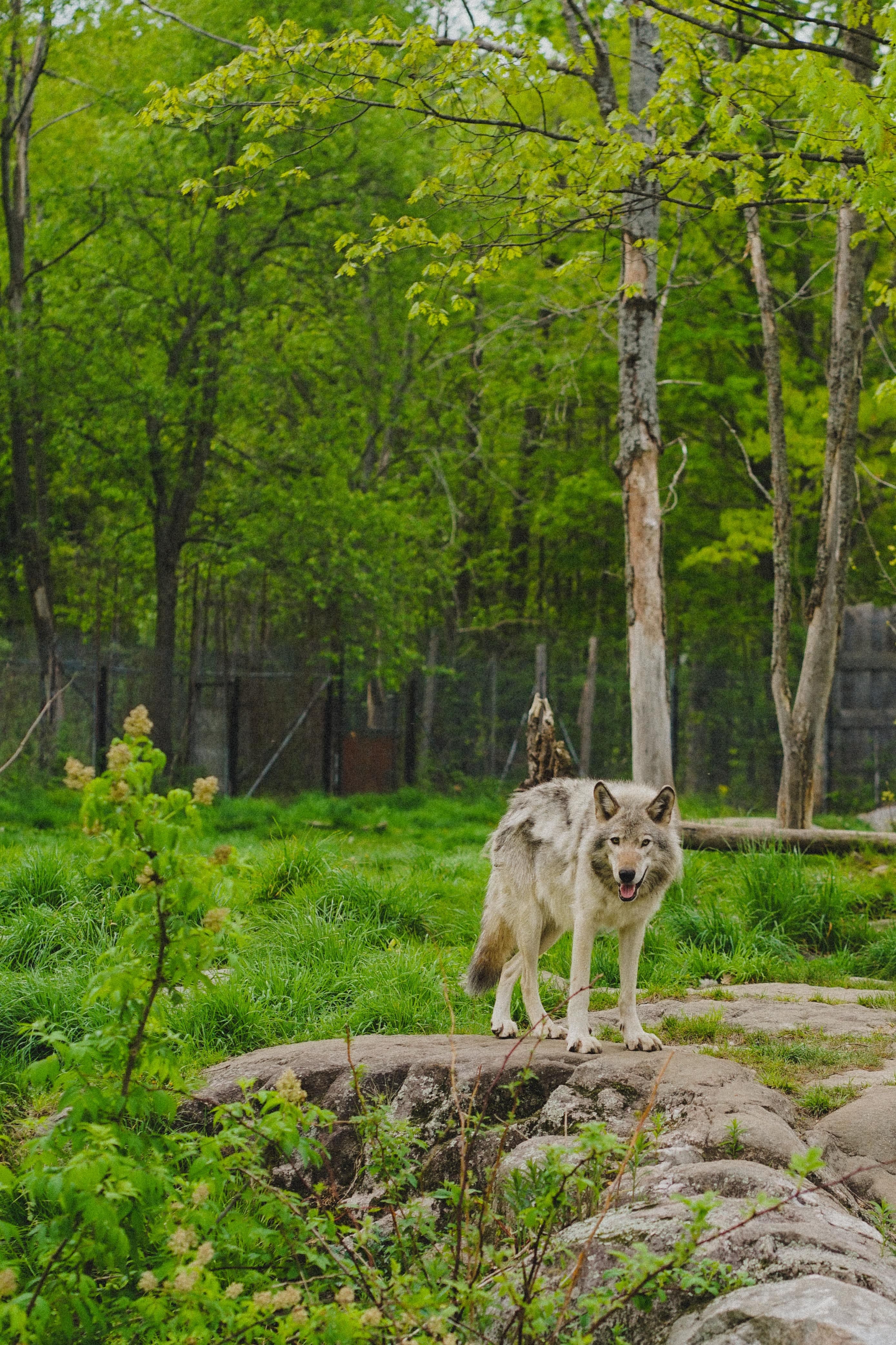 Courtoisie Géraldine Lamarche