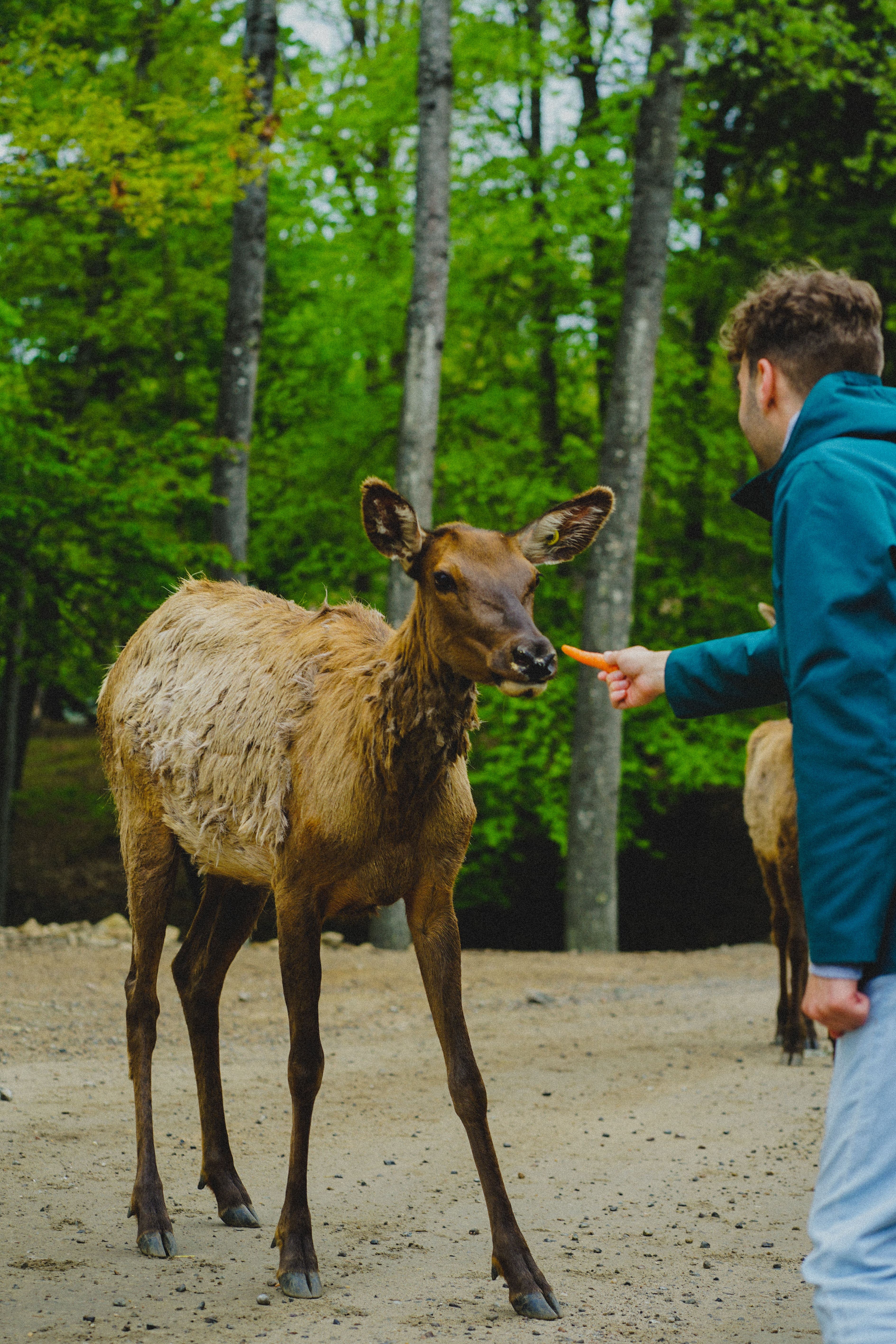 Courtoisie Géraldine Lamarche