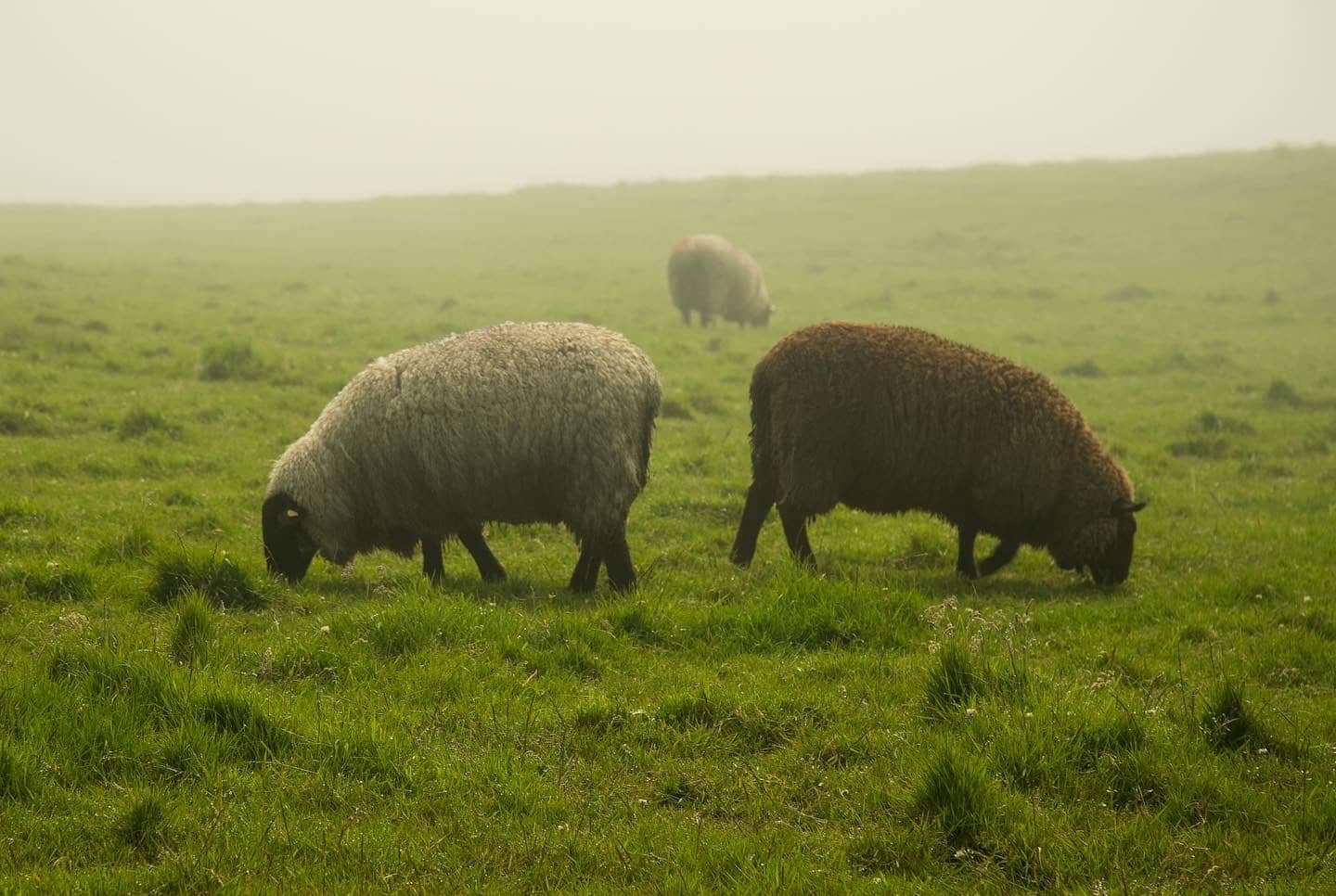 Courtoisie: Stéphanie Villeneuve
