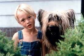 Dennis the menace