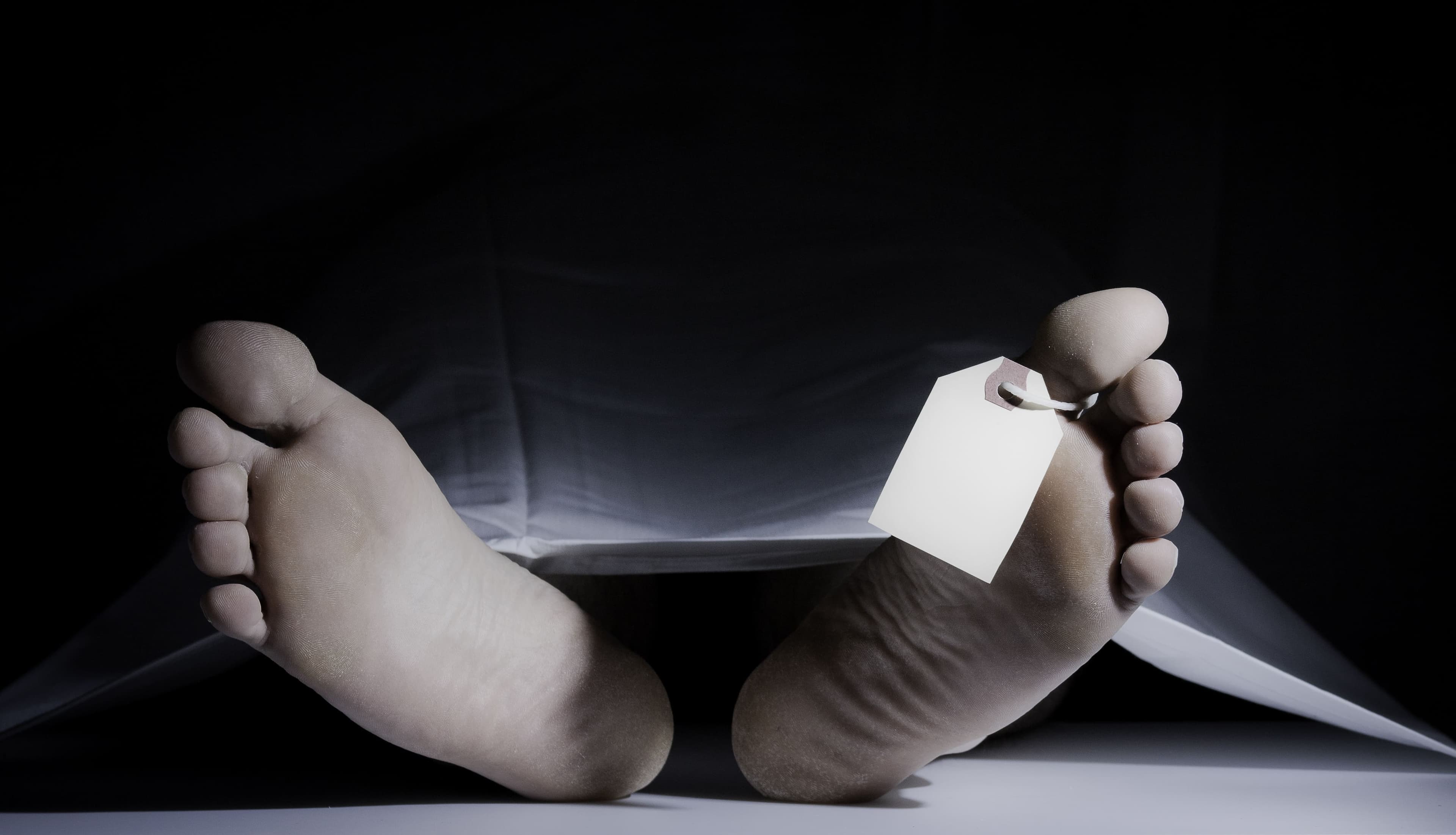 sof75 - stock.adobe.com